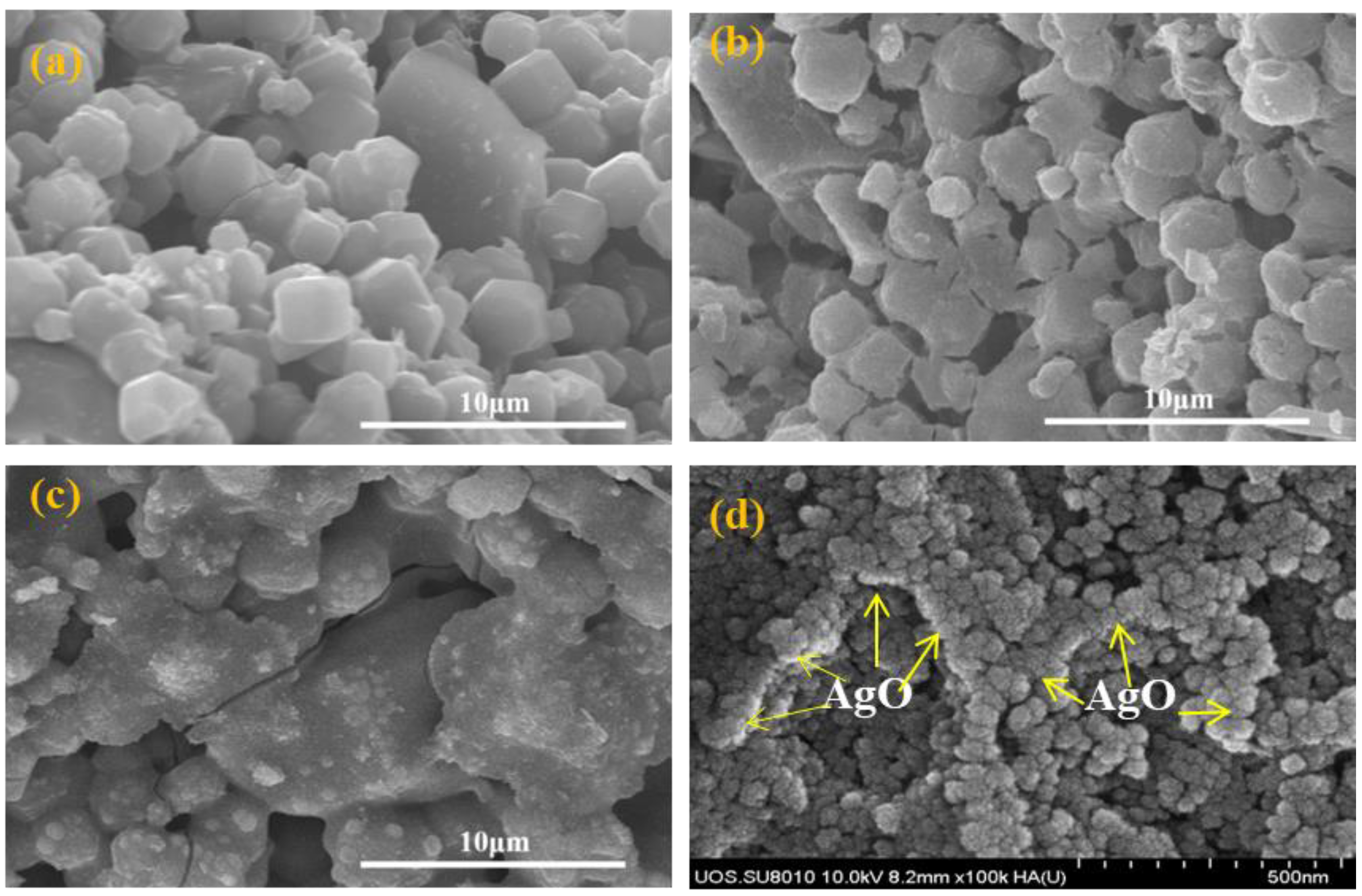 Catalysts 11 00261 g002