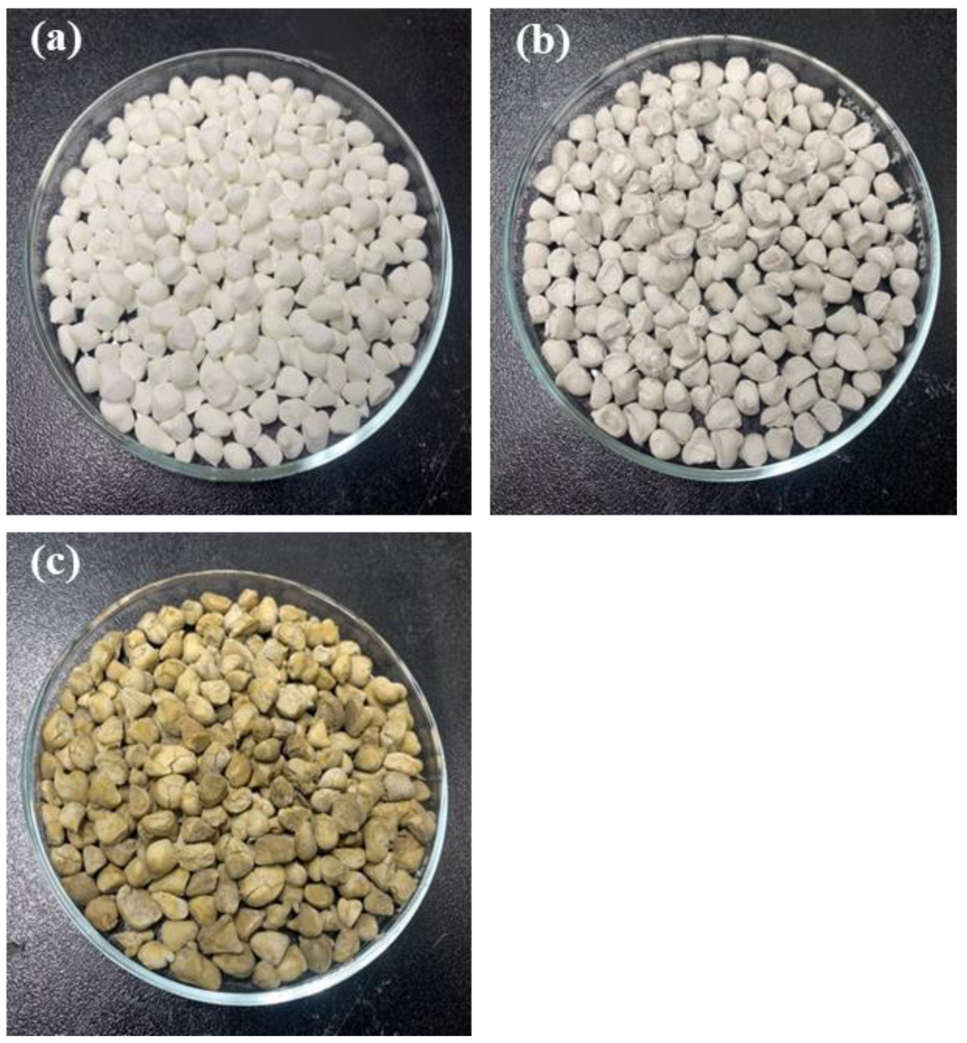 Catalysts 11 00261 g010