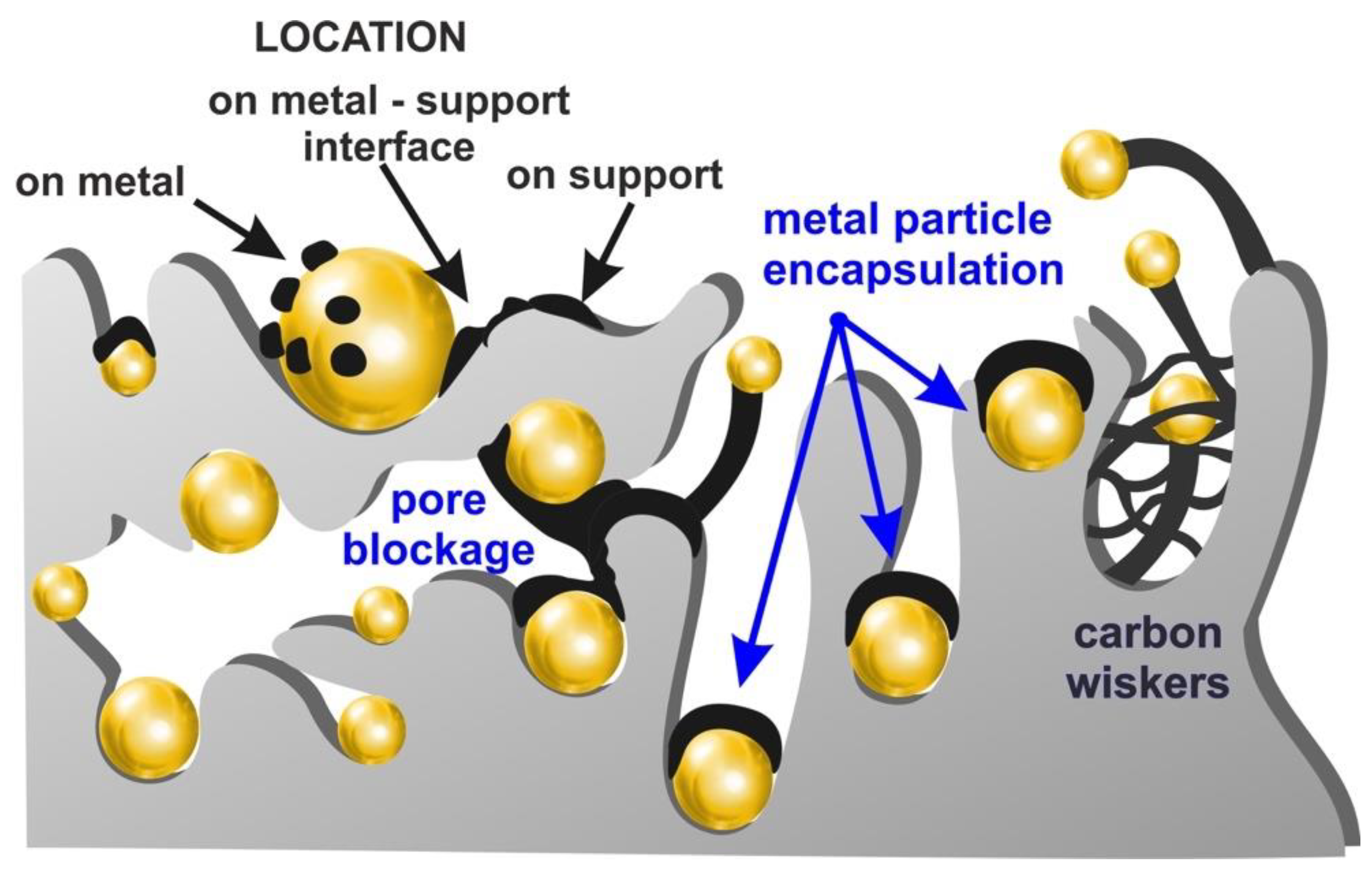Catalysts 11 00265 g003 Catalysts 11 00265 g003
