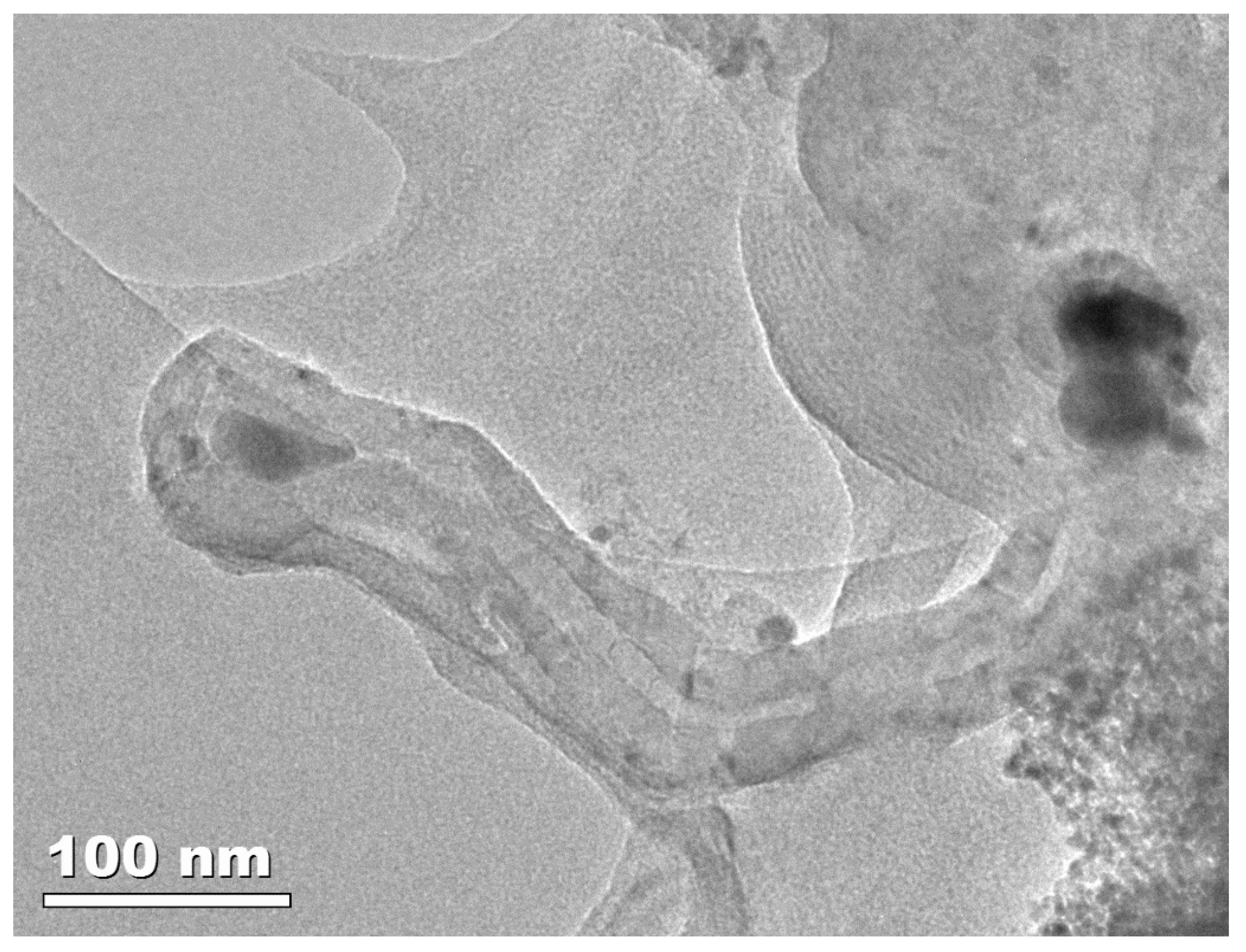 Catalysts 11 00265 g004 Catalysts 11 00265 g004