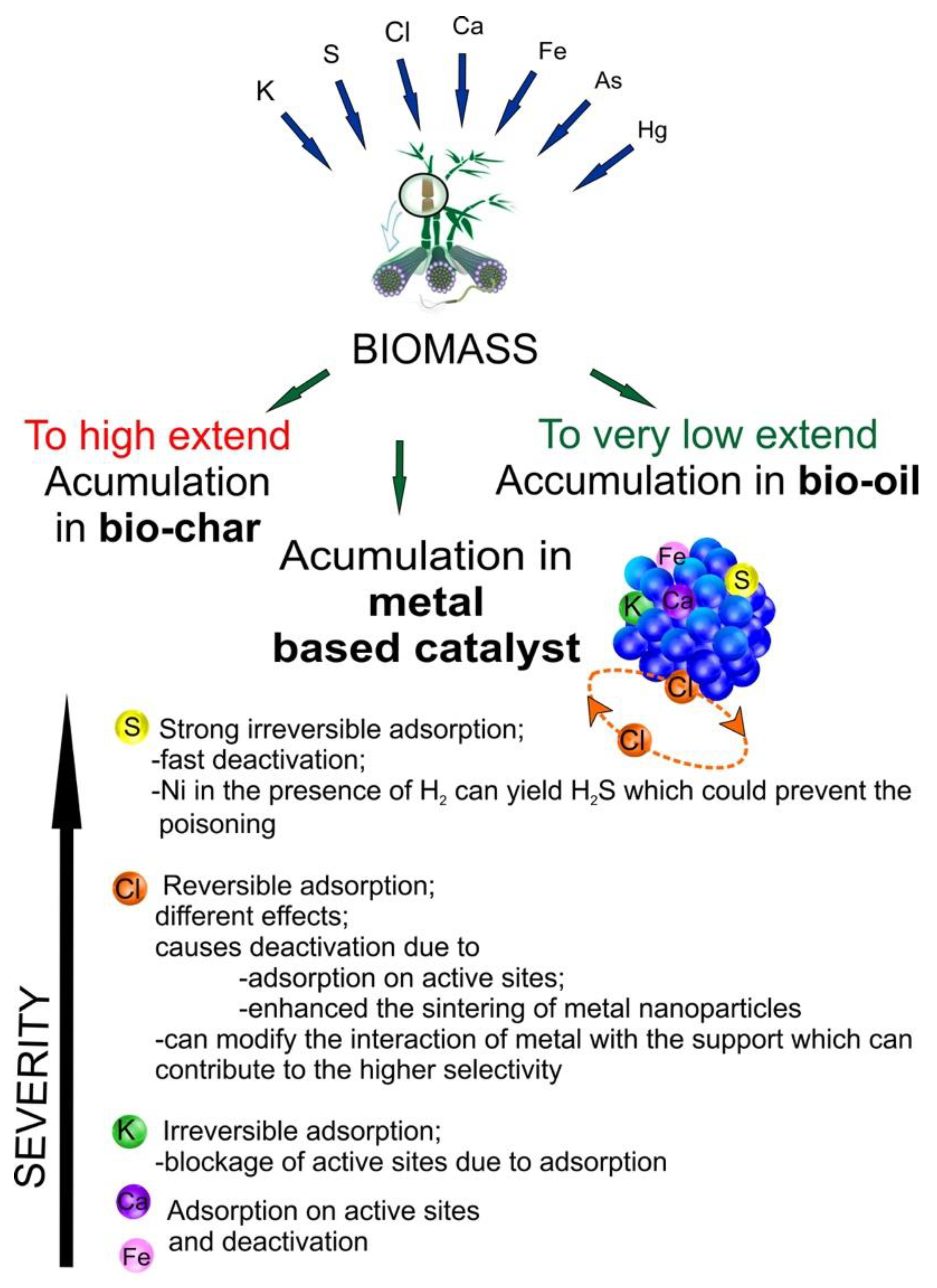Catalysts 11 00265 g006 Catalysts 11 00265 g006