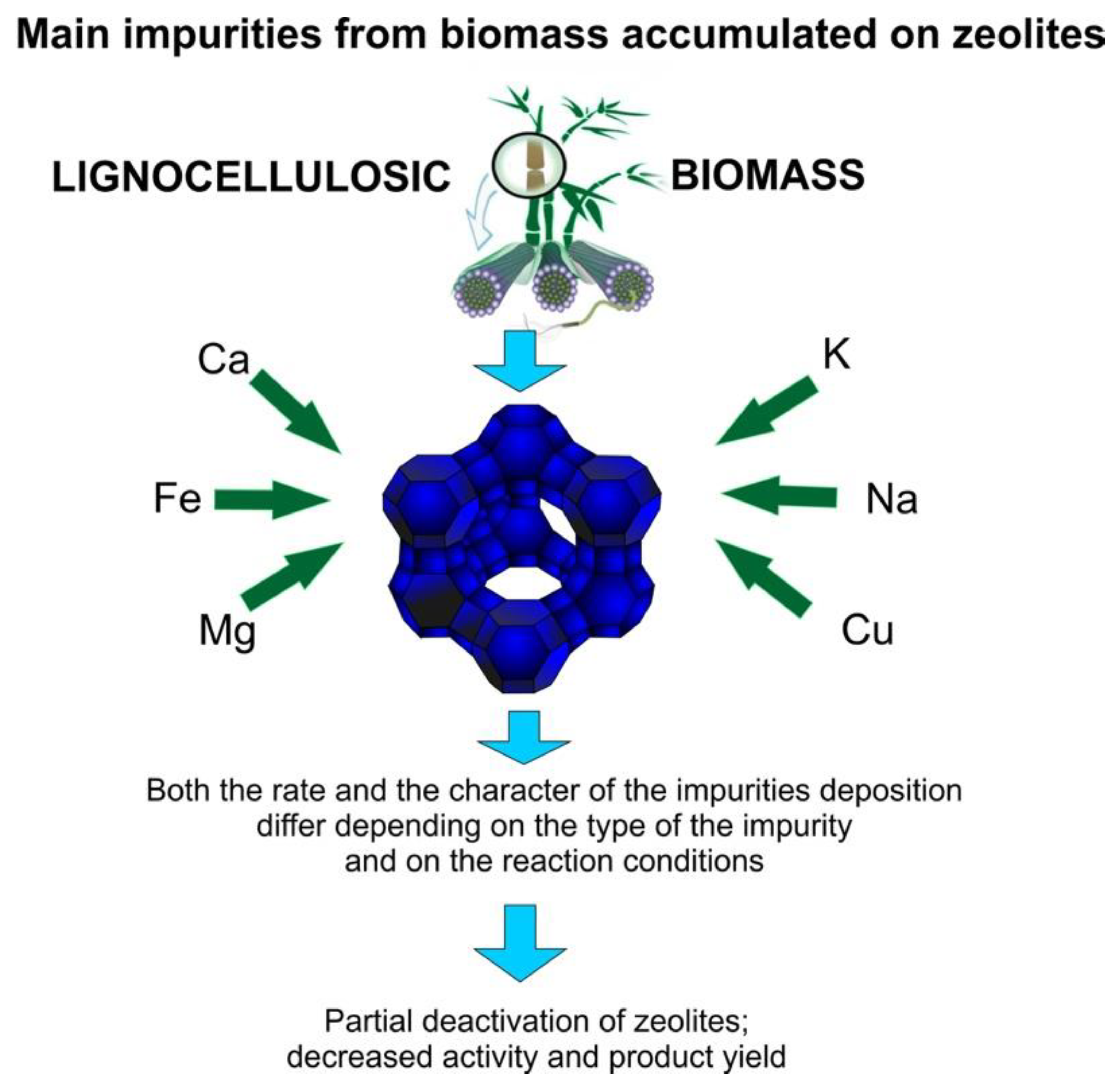 Catalysts 11 00265 g007 Catalysts 11 00265 g007