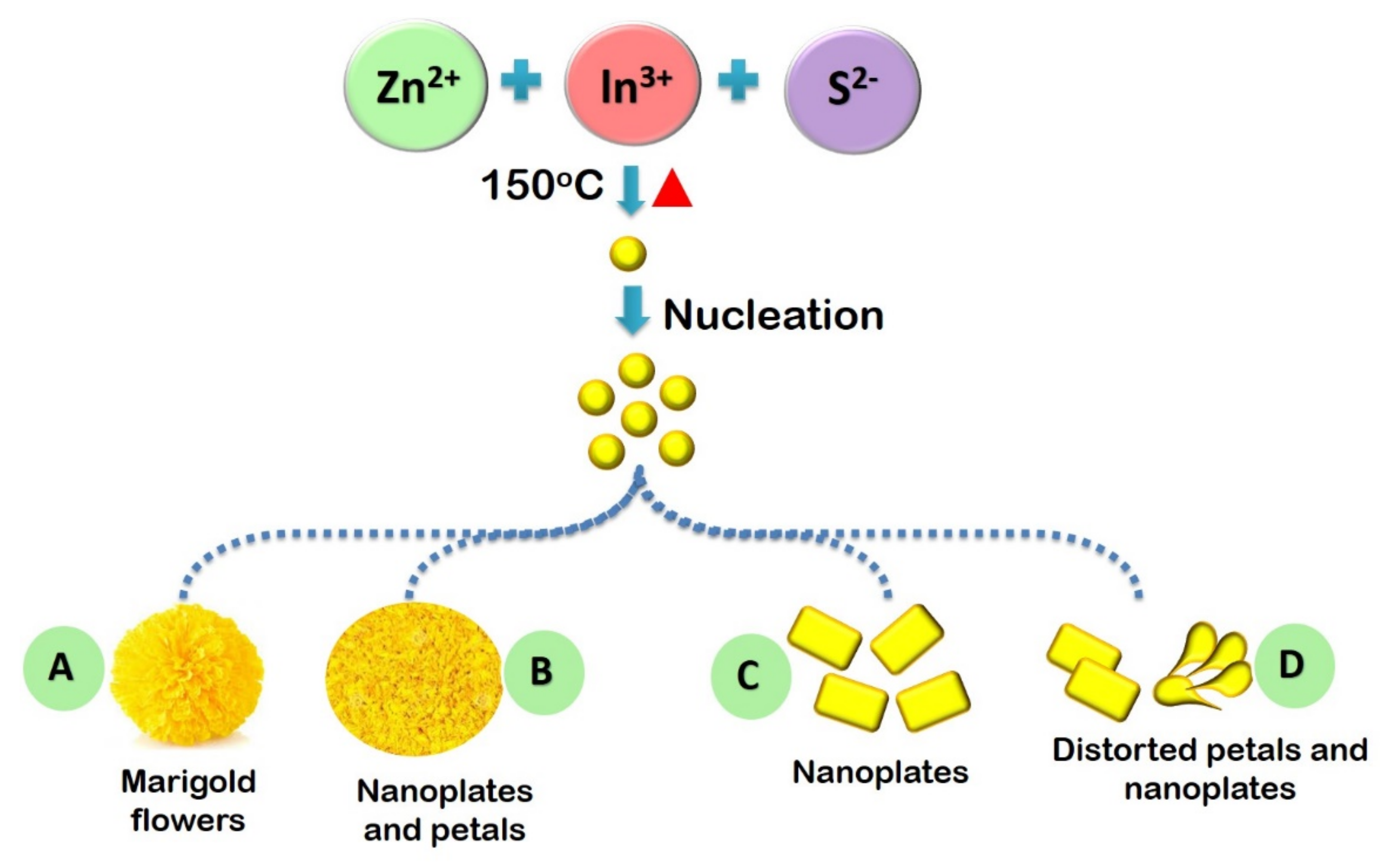 Catalysts 11 00277 g005
