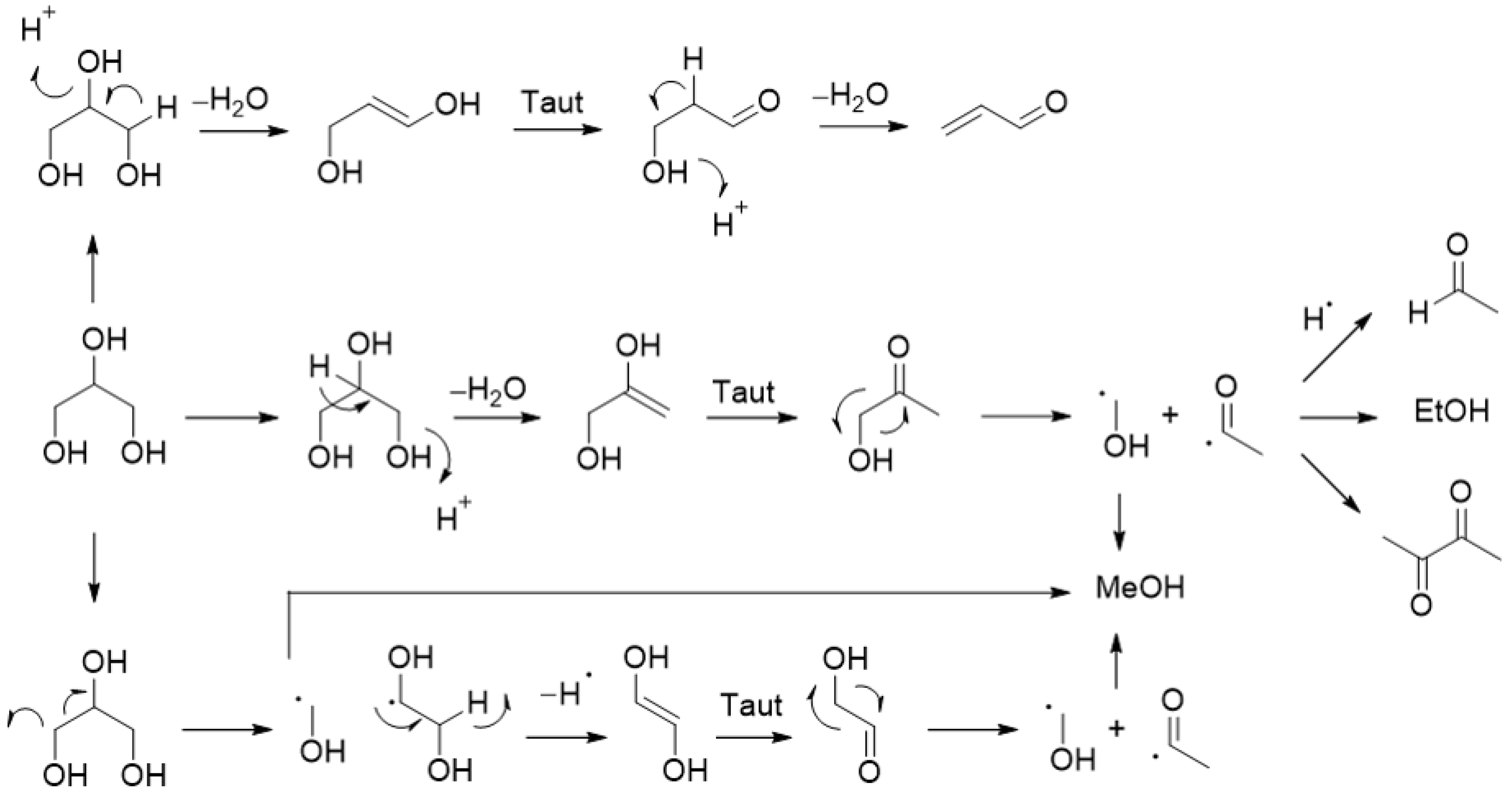 Catalysts 11 00280 sch013