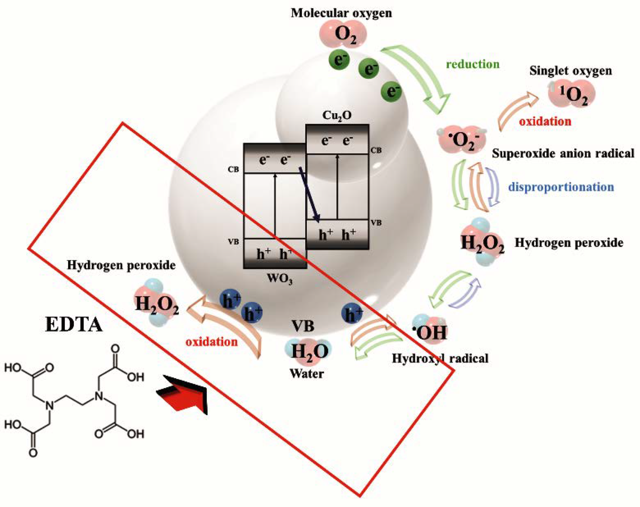 Catalysts 11 00293 sch001