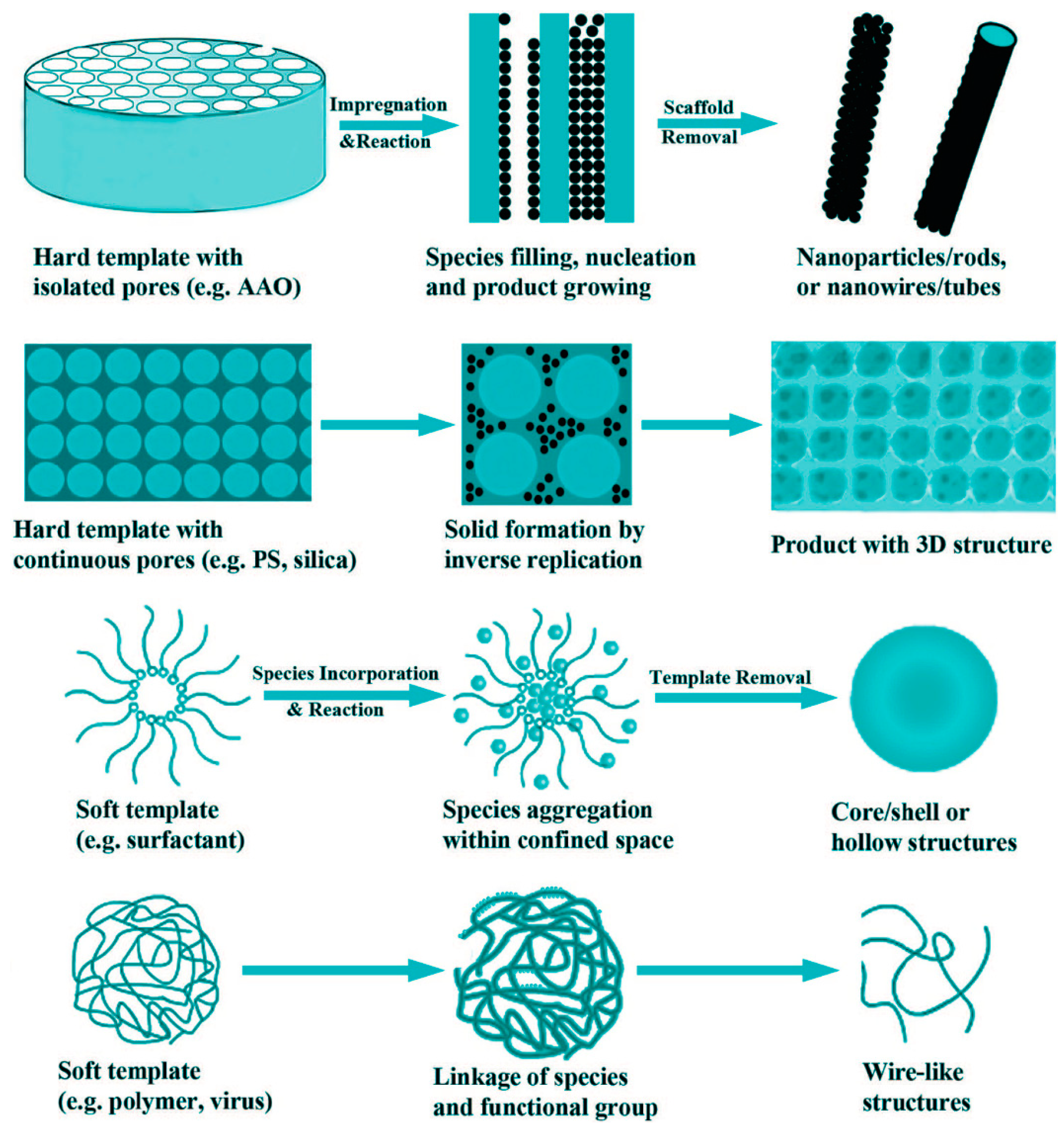 Catalysts 11 00294 g005