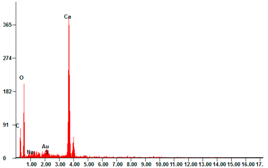 Catalysts 11 00295 i002