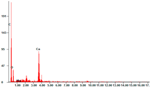 Catalysts 11 00295 i004