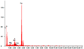 Catalysts 11 00295 i005