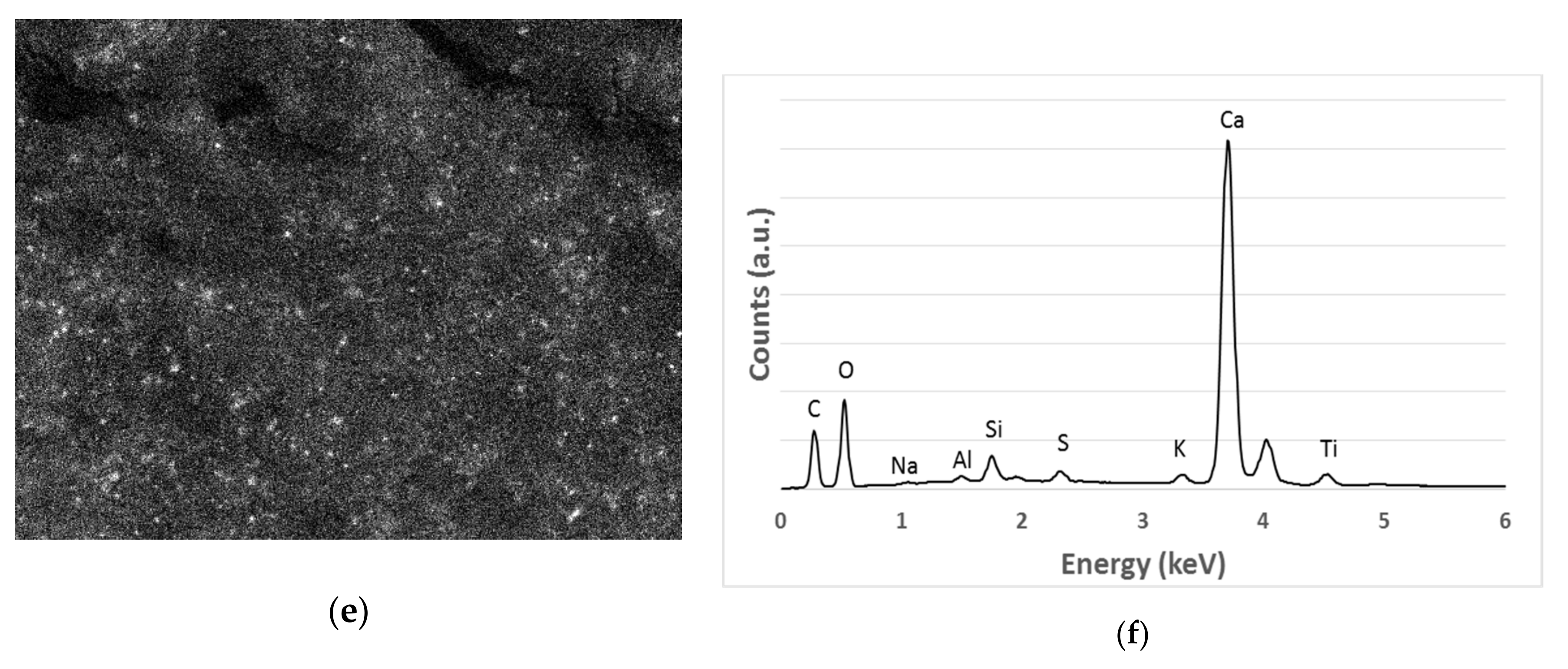 Catalysts 11 00296 g003b Catalysts 11 00296 g003b