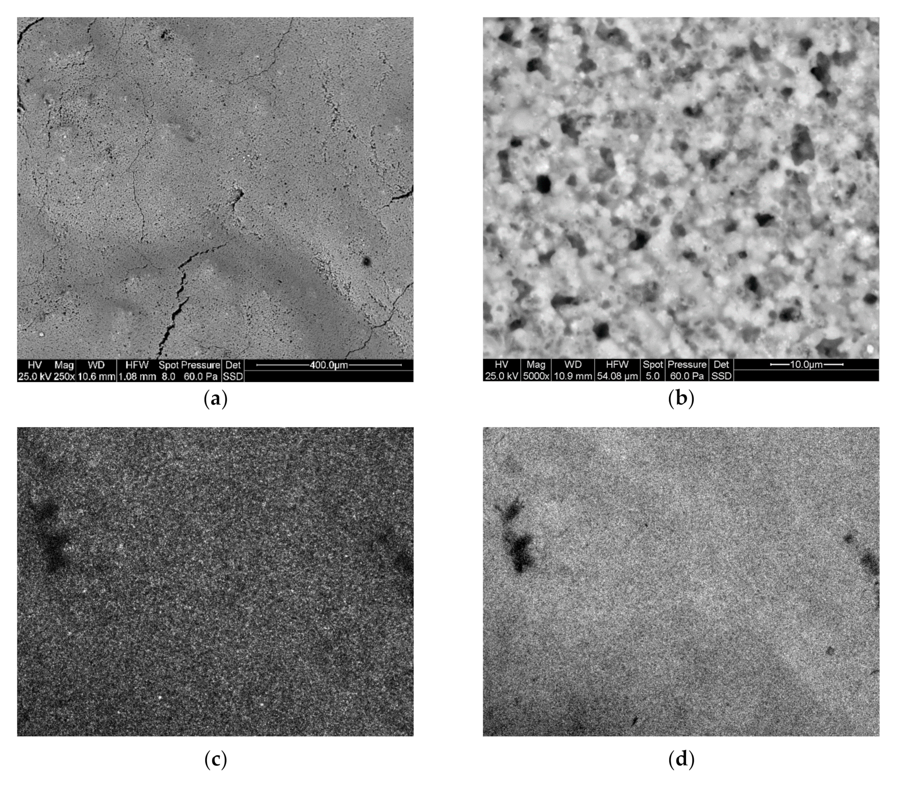 Catalysts 11 00296 g004a Catalysts 11 00296 g004a