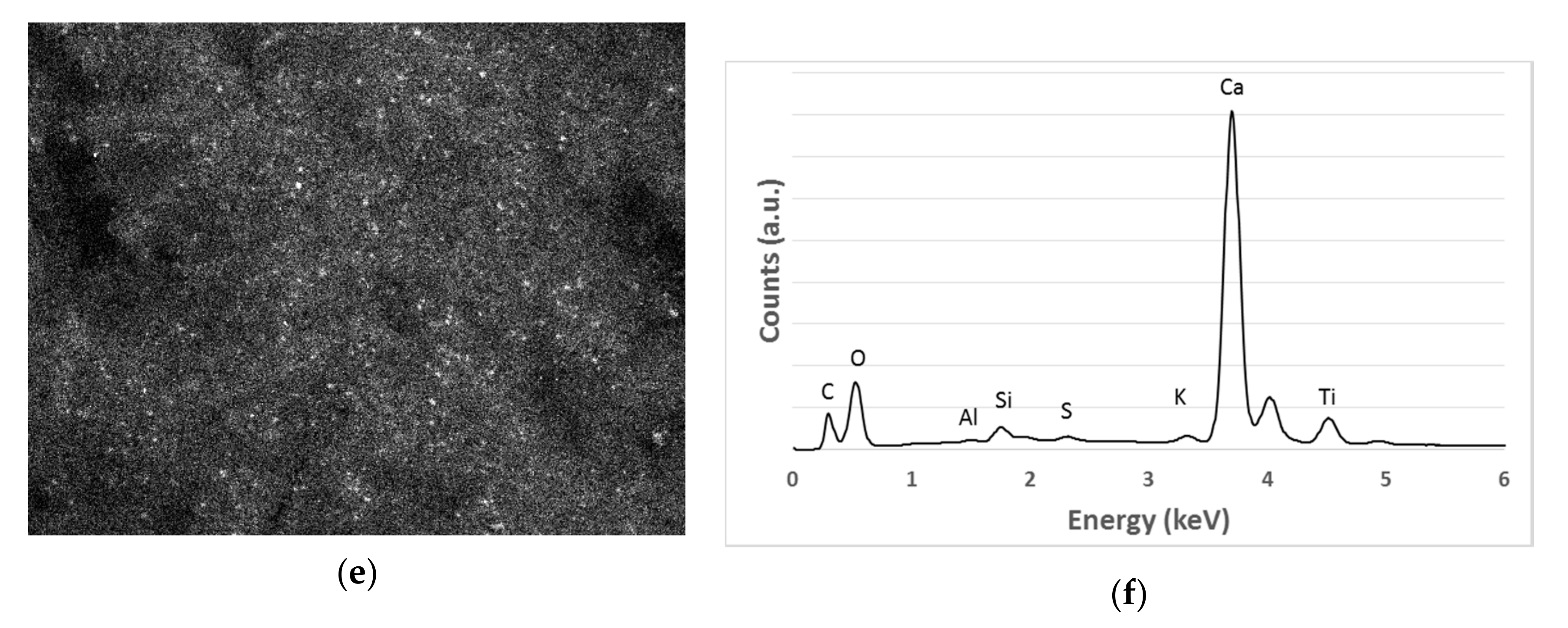Catalysts 11 00296 g004b Catalysts 11 00296 g004b