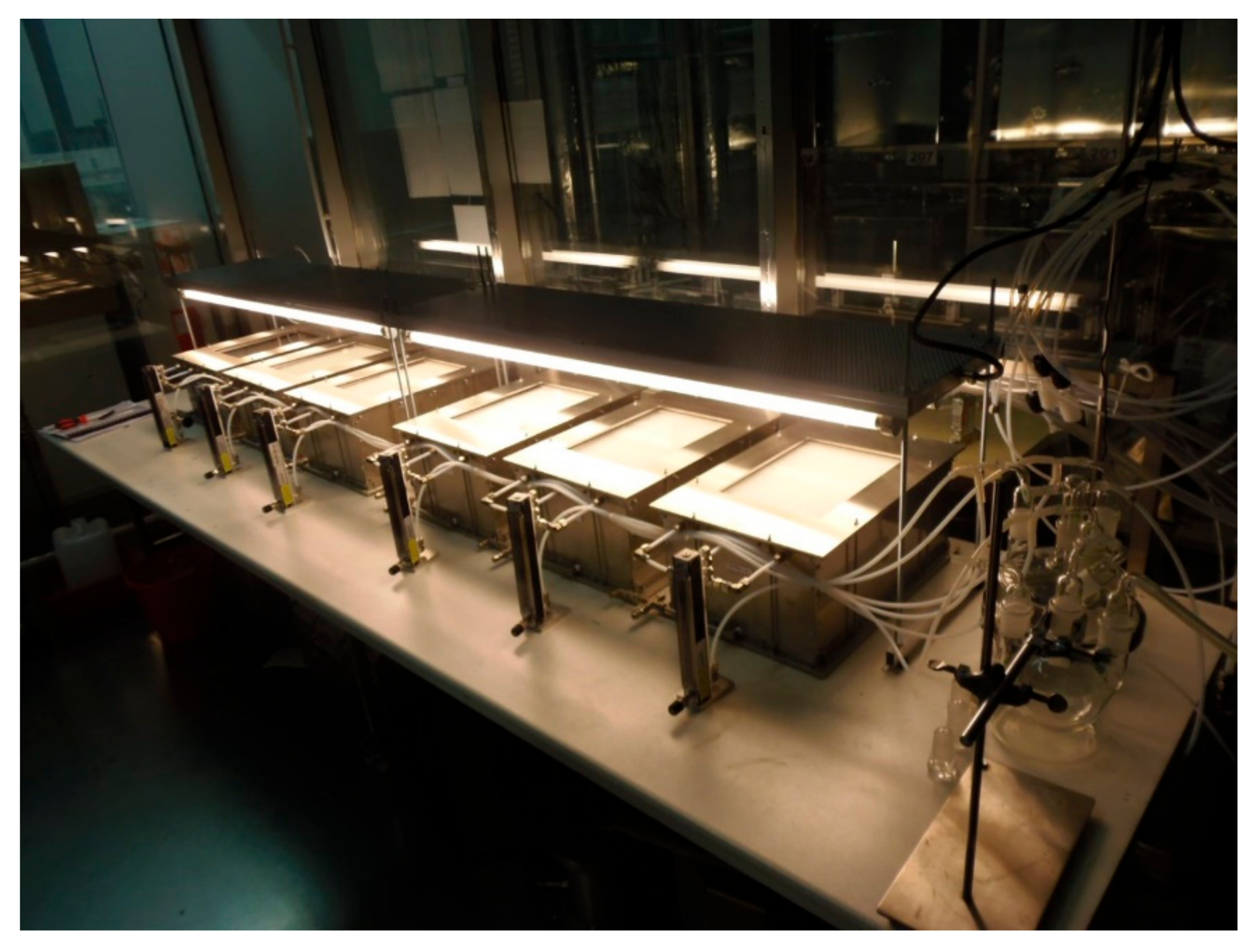 Catalysts 11 00296 g010 Catalysts 11 00296 g010