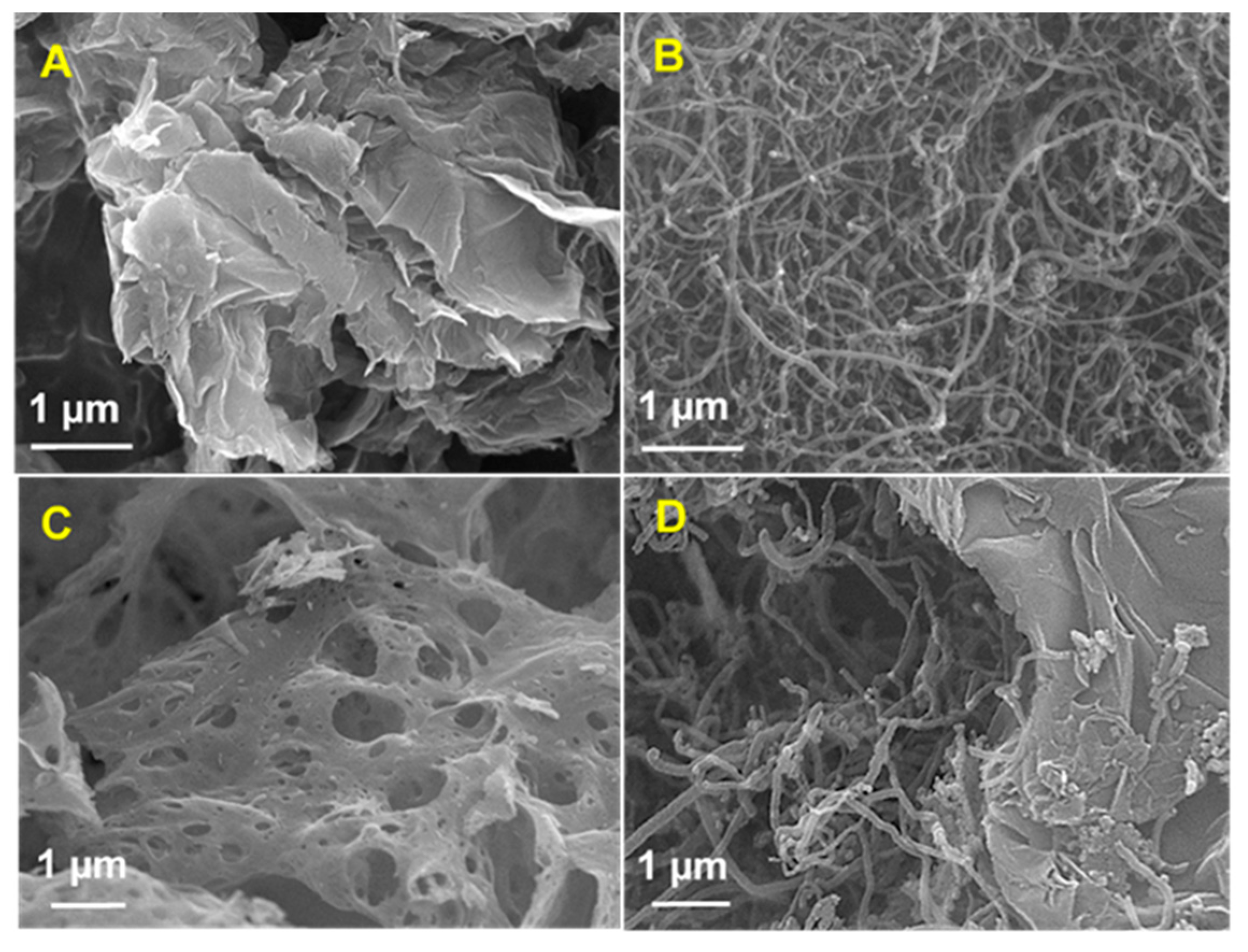 Catalysts 11 00301 g002 Catalysts 11 00301 g002