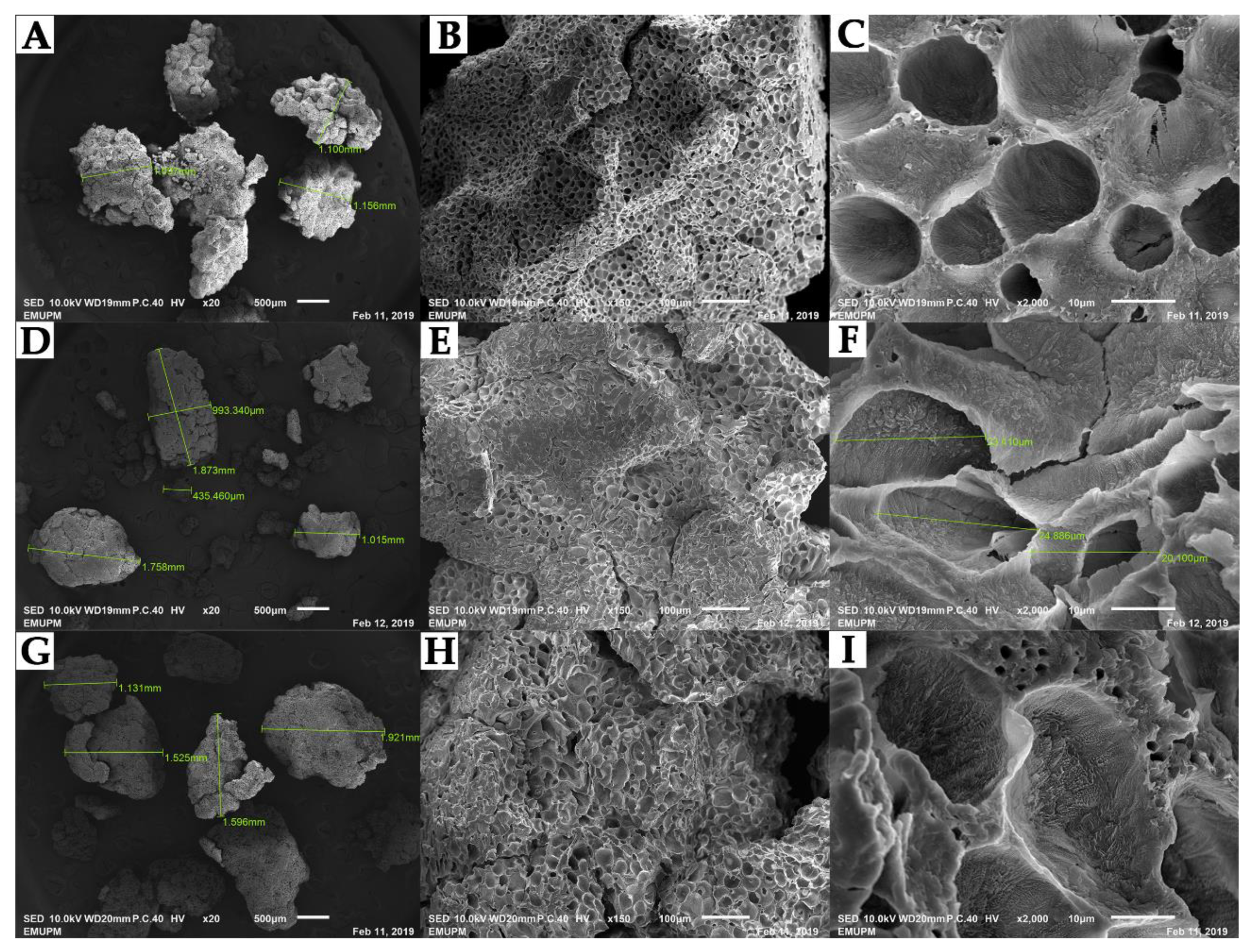 Catalysts 11 00303 g006 Catalysts 11 00303 g006