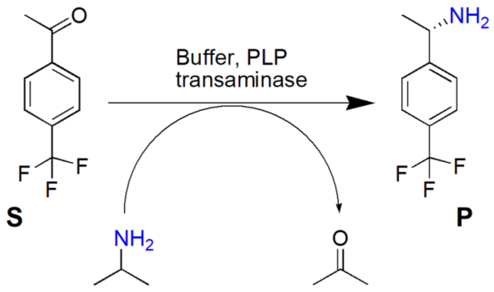 Catalysts 11 00307 sch001