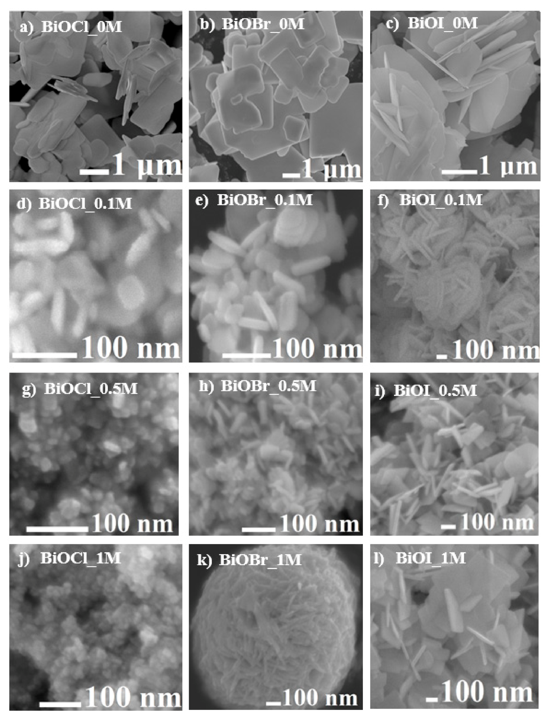Catalysts 11 00312 g002