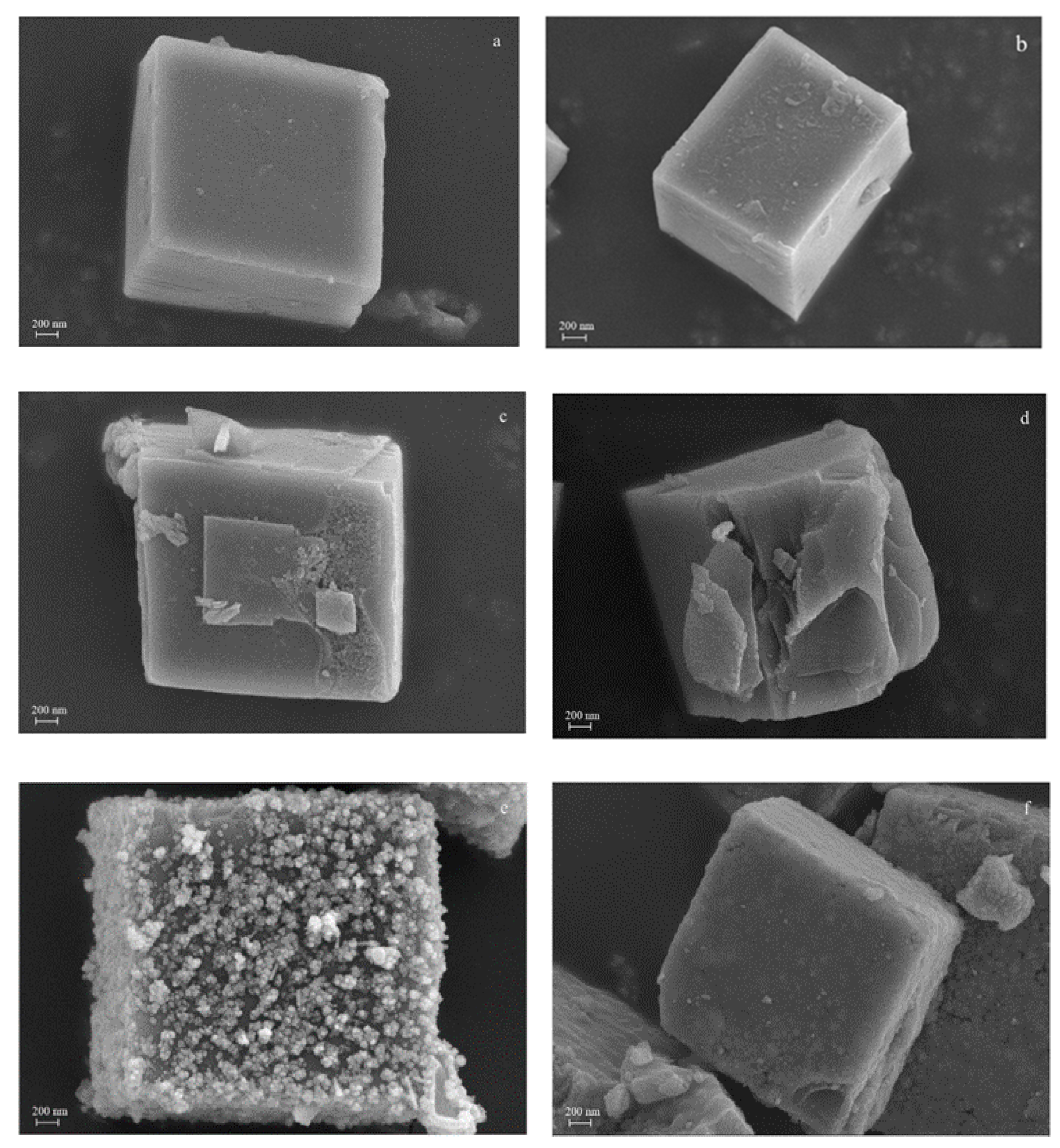 Catalysts 11 00314 g002 Catalysts 11 00314 g002