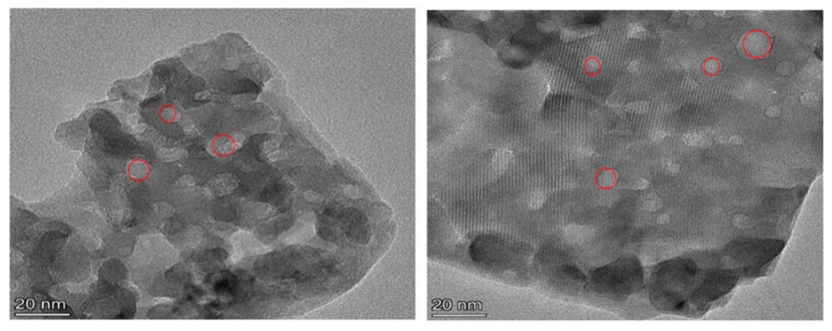 Catalysts 11 00314 g004 Catalysts 11 00314 g004