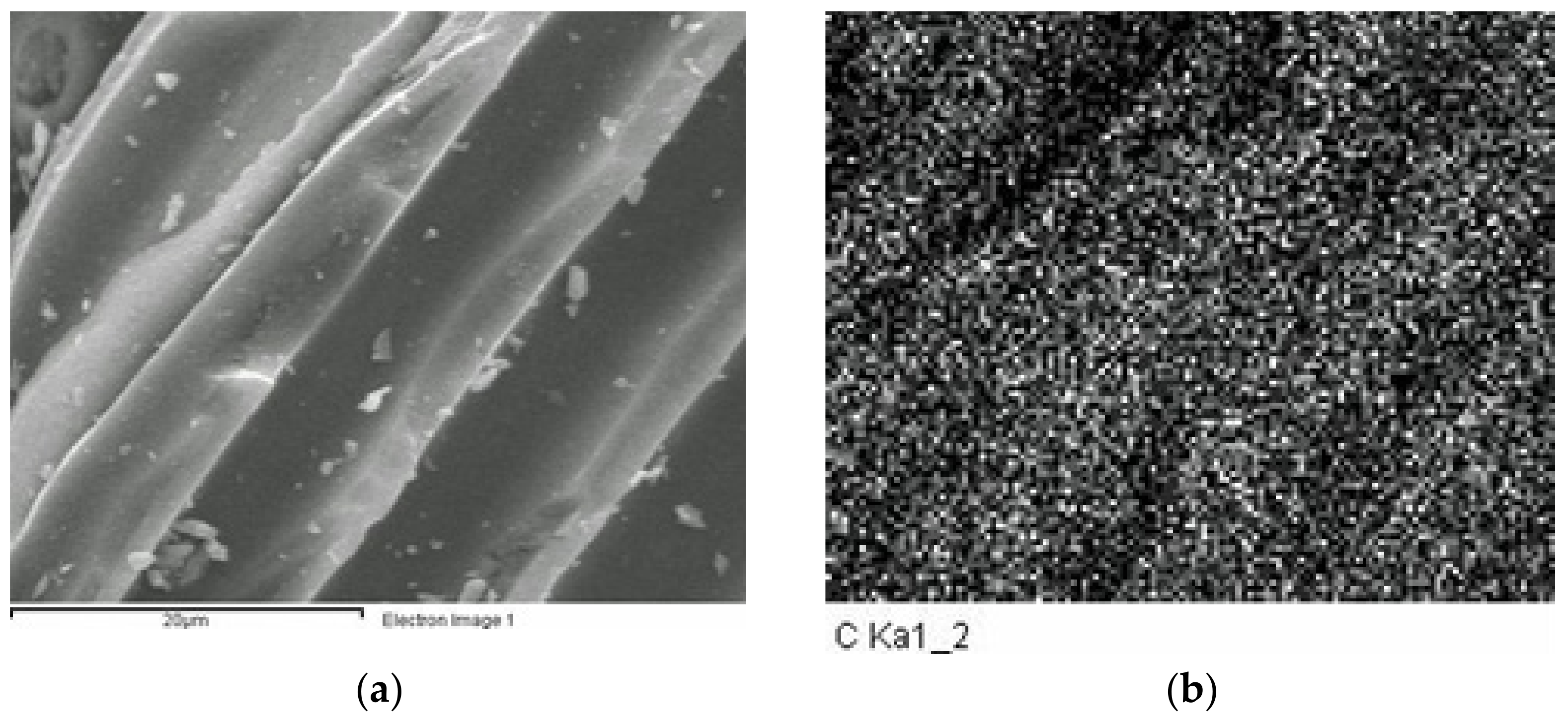 Catalysts 11 00321 g001a Catalysts 11 00321 g001a