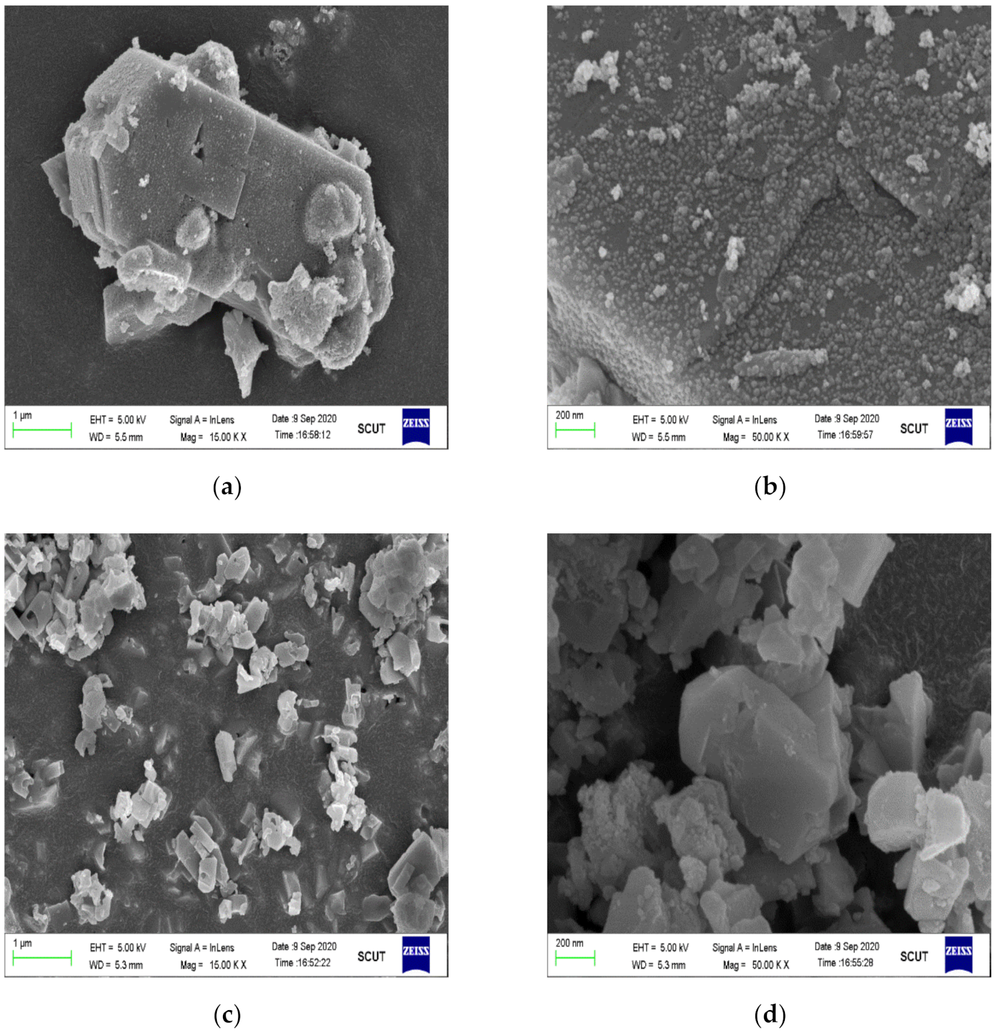 Catalysts 11 00324 g012
