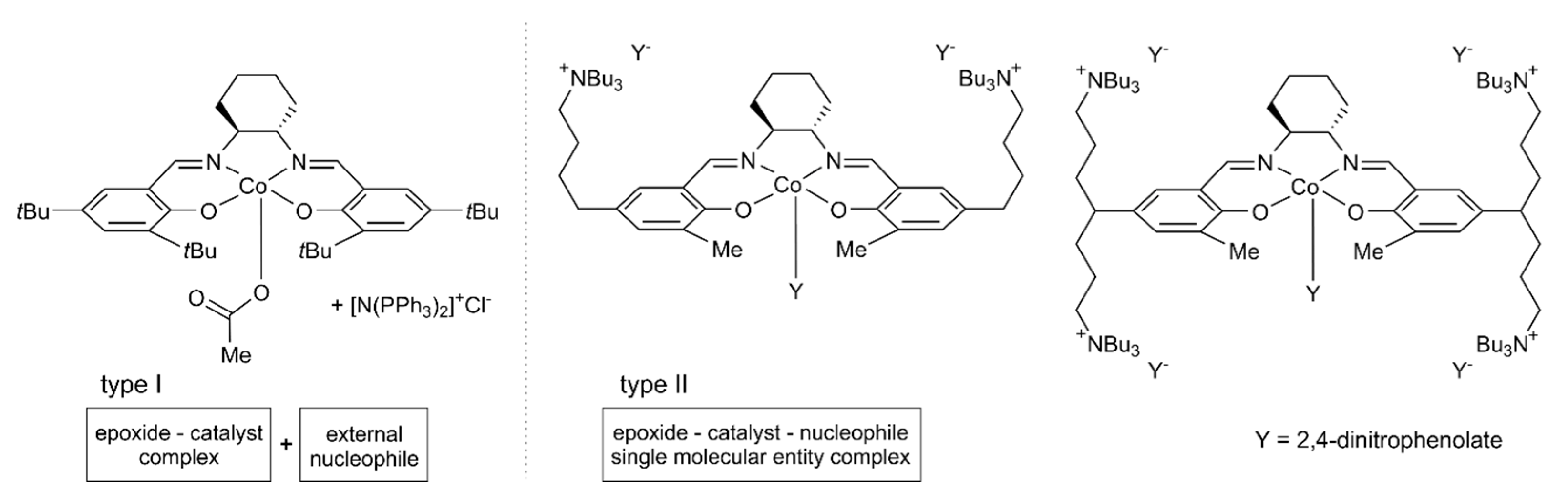 Catalysts 11 00328 g001