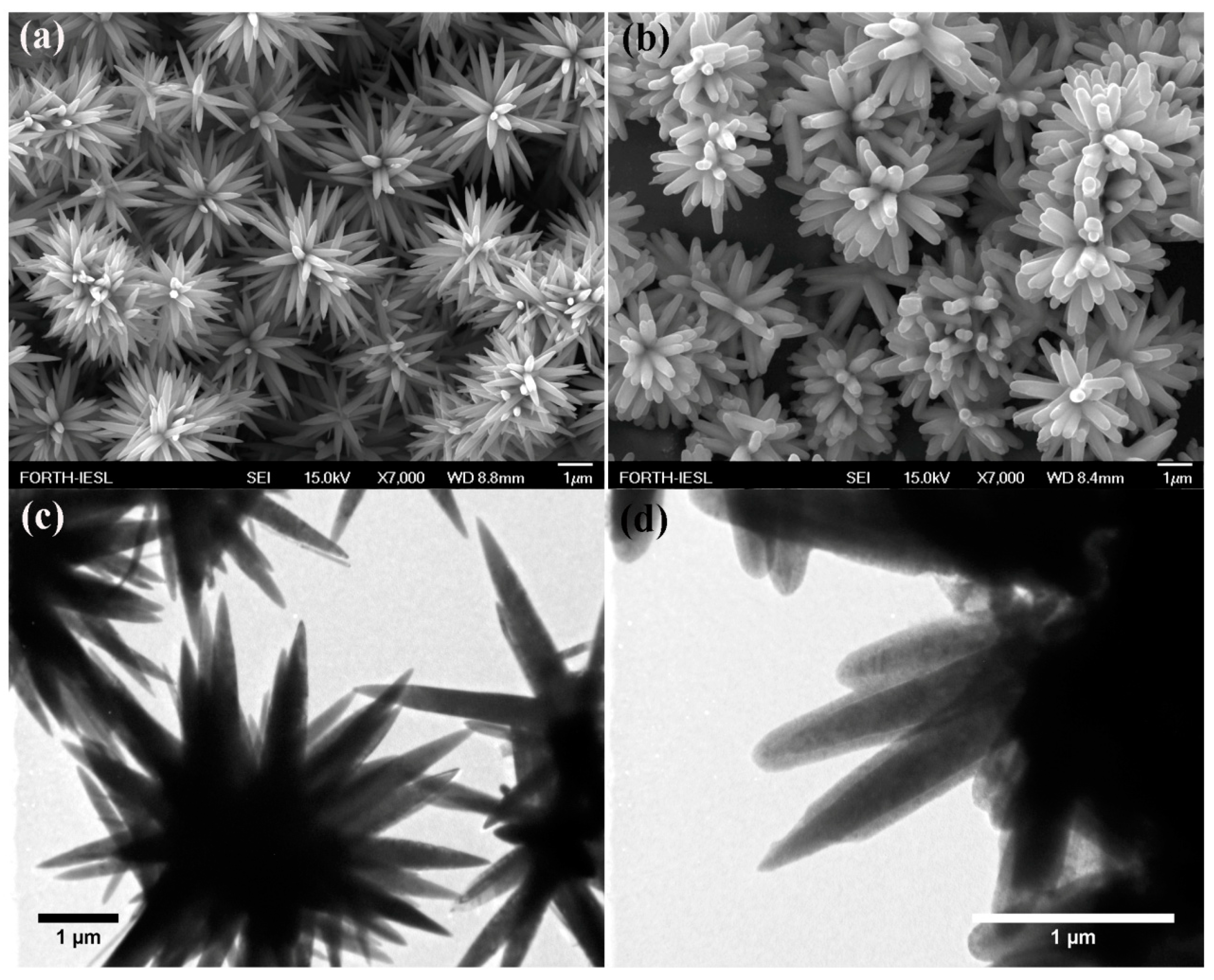 Catalysts 11 00332 g002