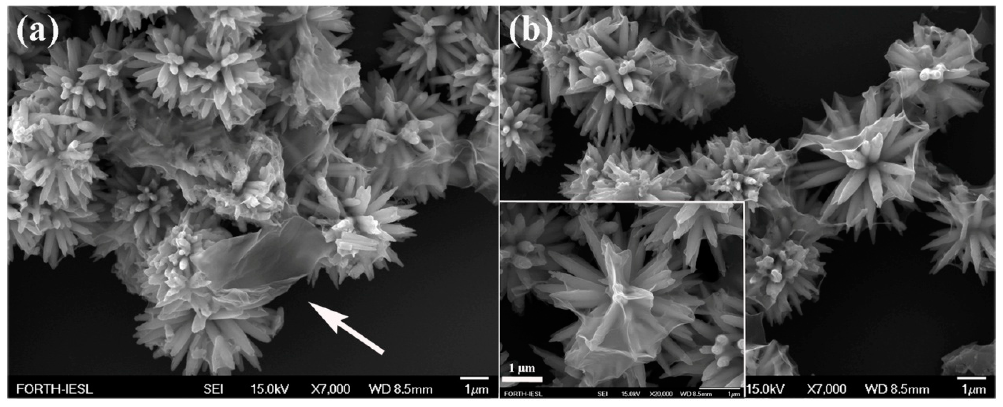 Catalysts 11 00332 g003
