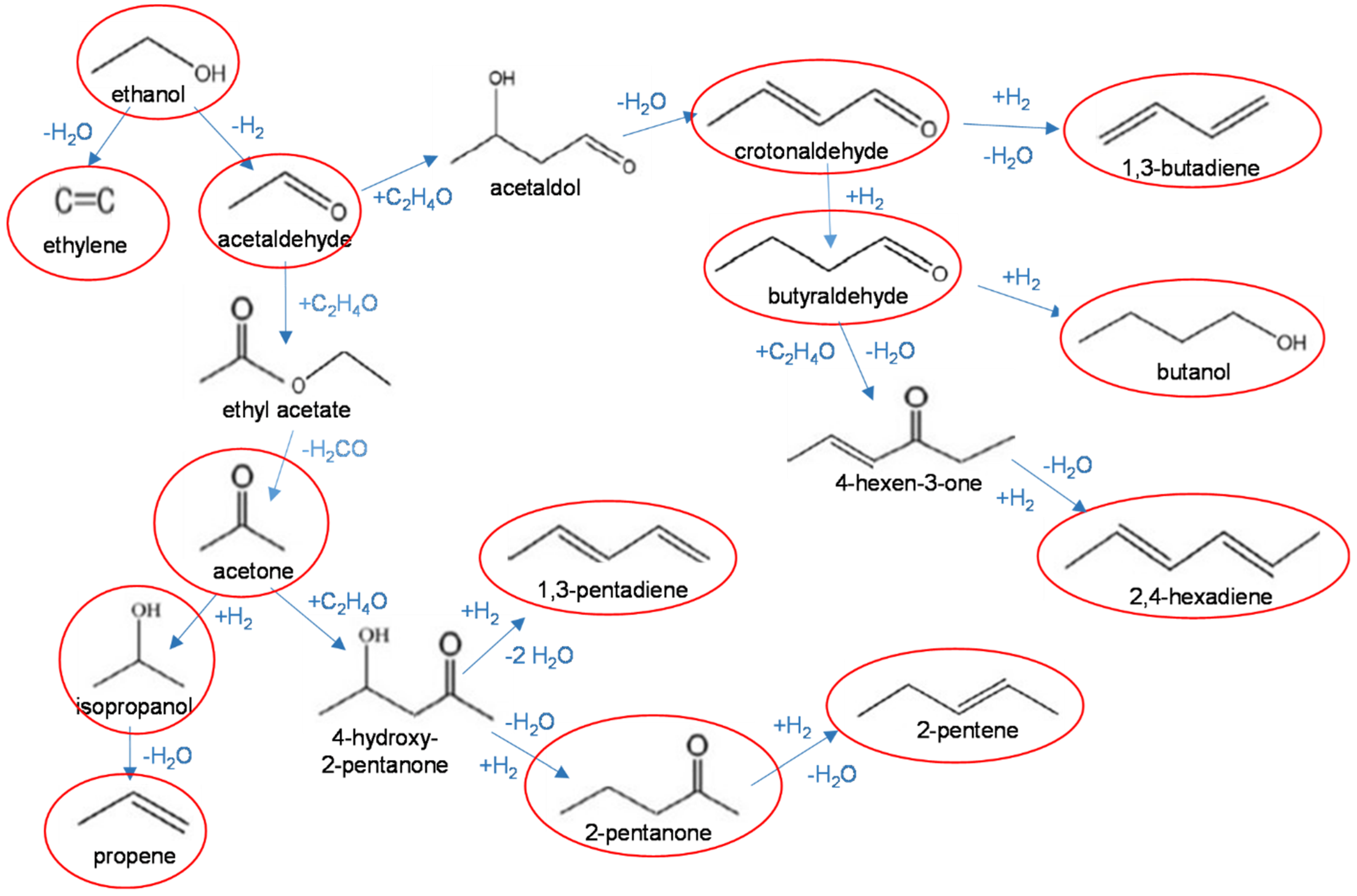 Catalysts 11 00344 g003