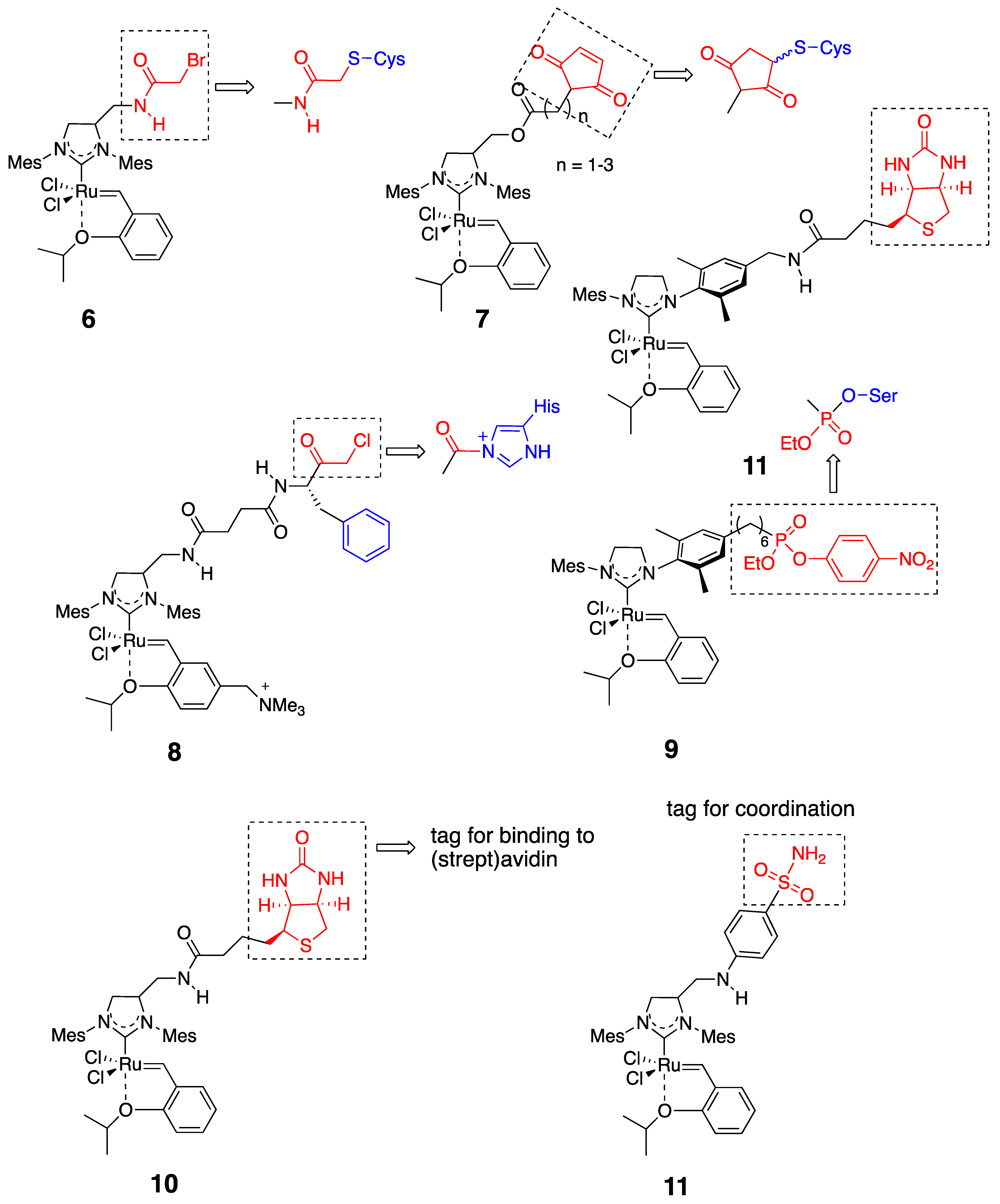 Catalysts 11 00359 g004