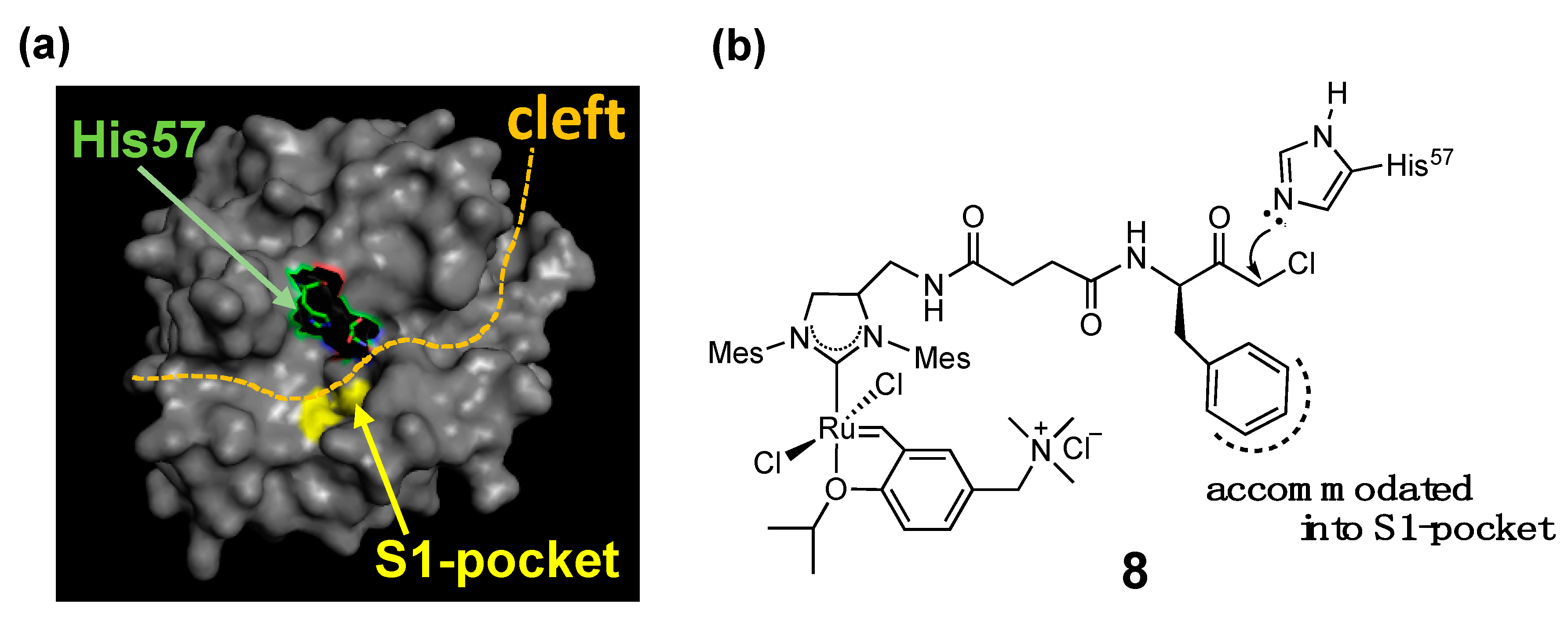 Catalysts 11 00359 g005