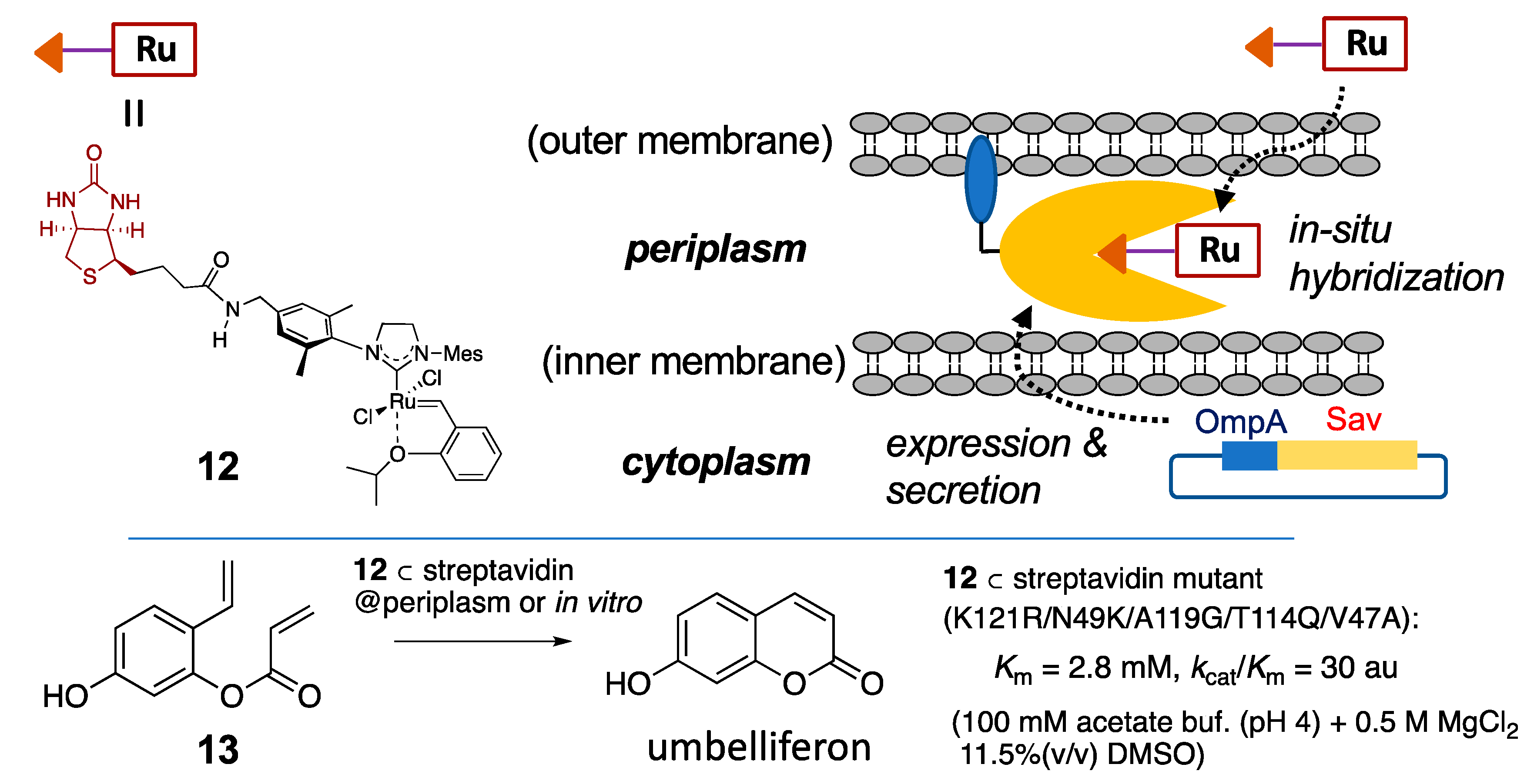 Catalysts 11 00359 g006