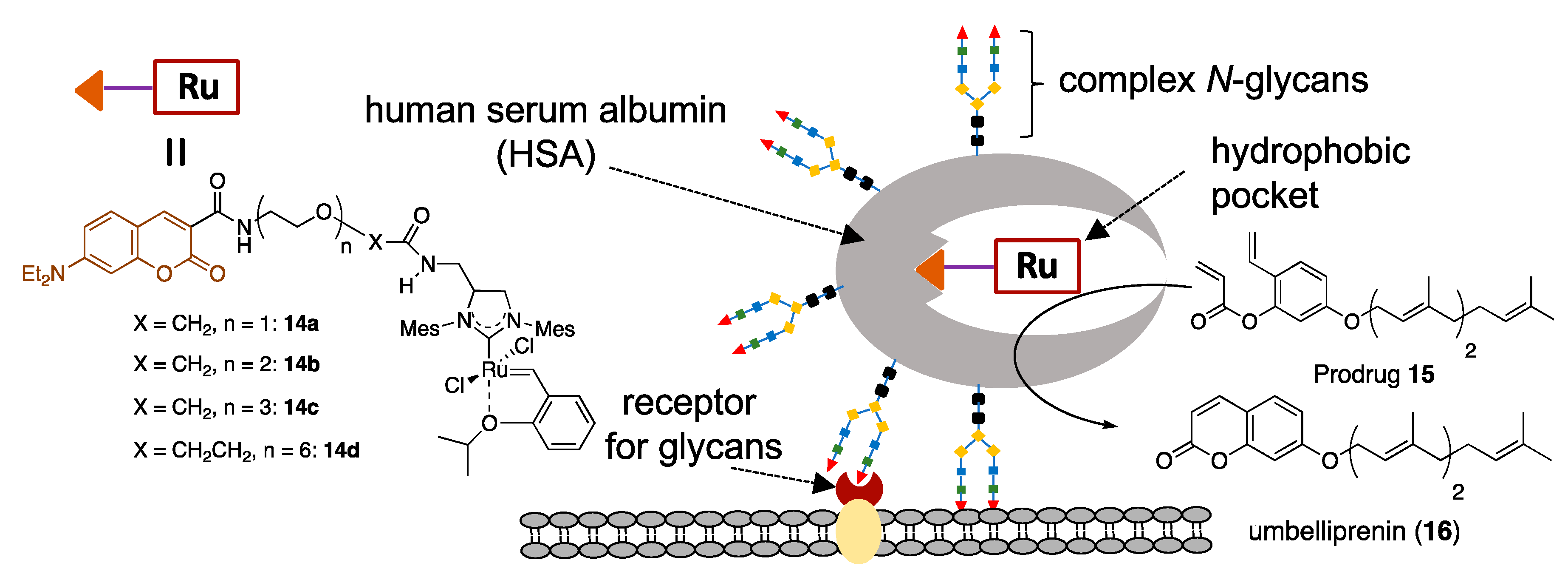 Catalysts 11 00359 g008
