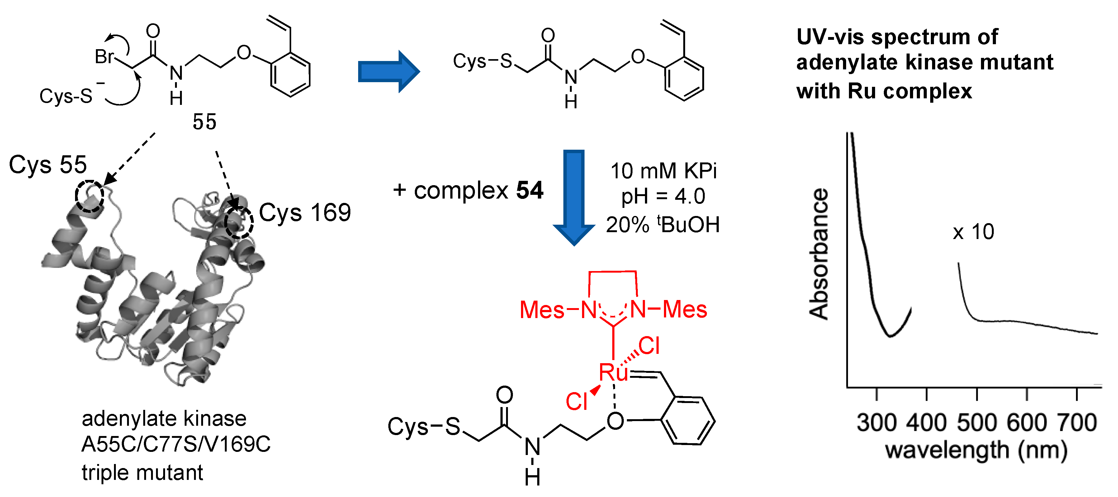Catalysts 11 00359 g014