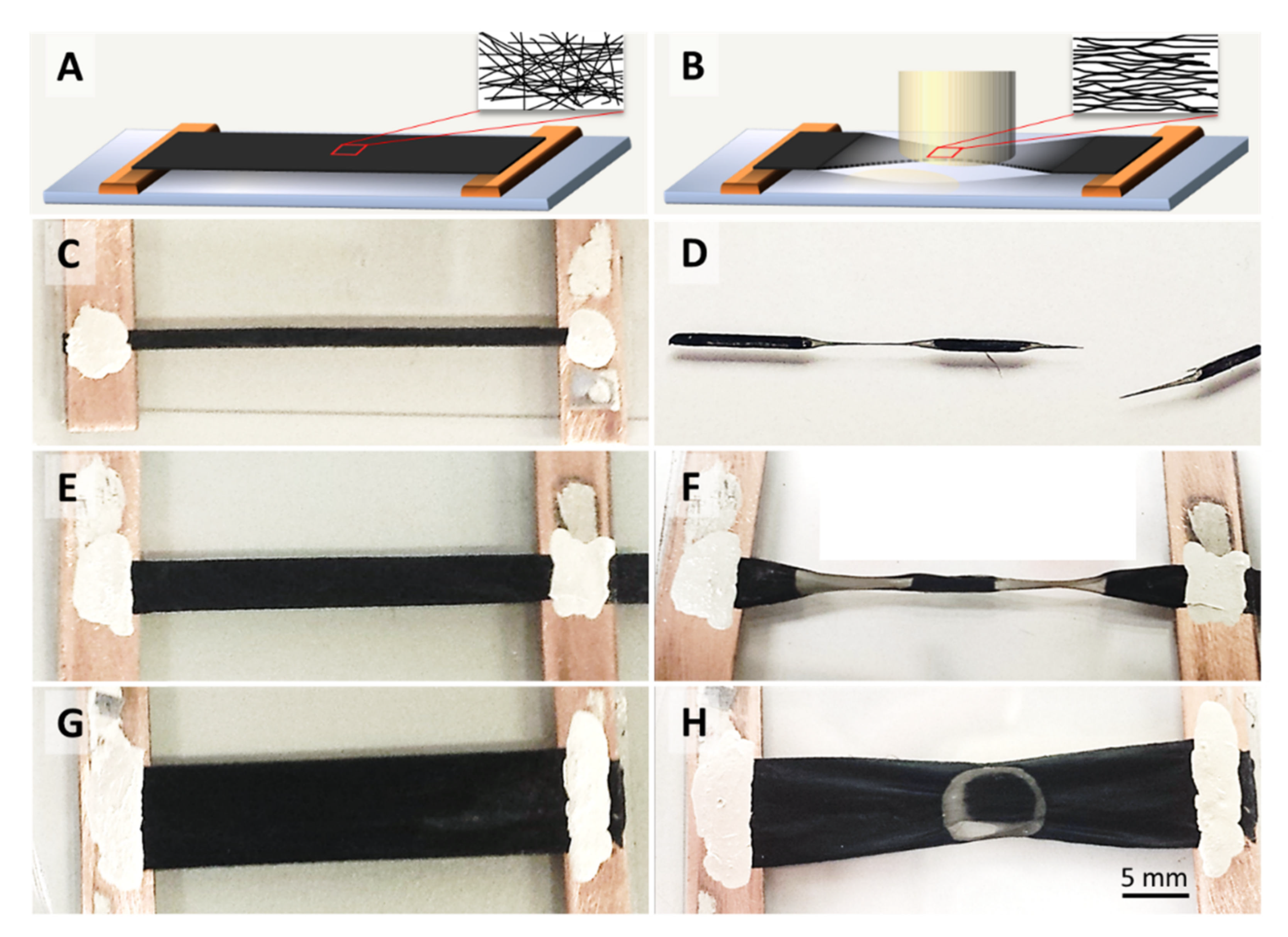 Catalysts 11 00368 g001