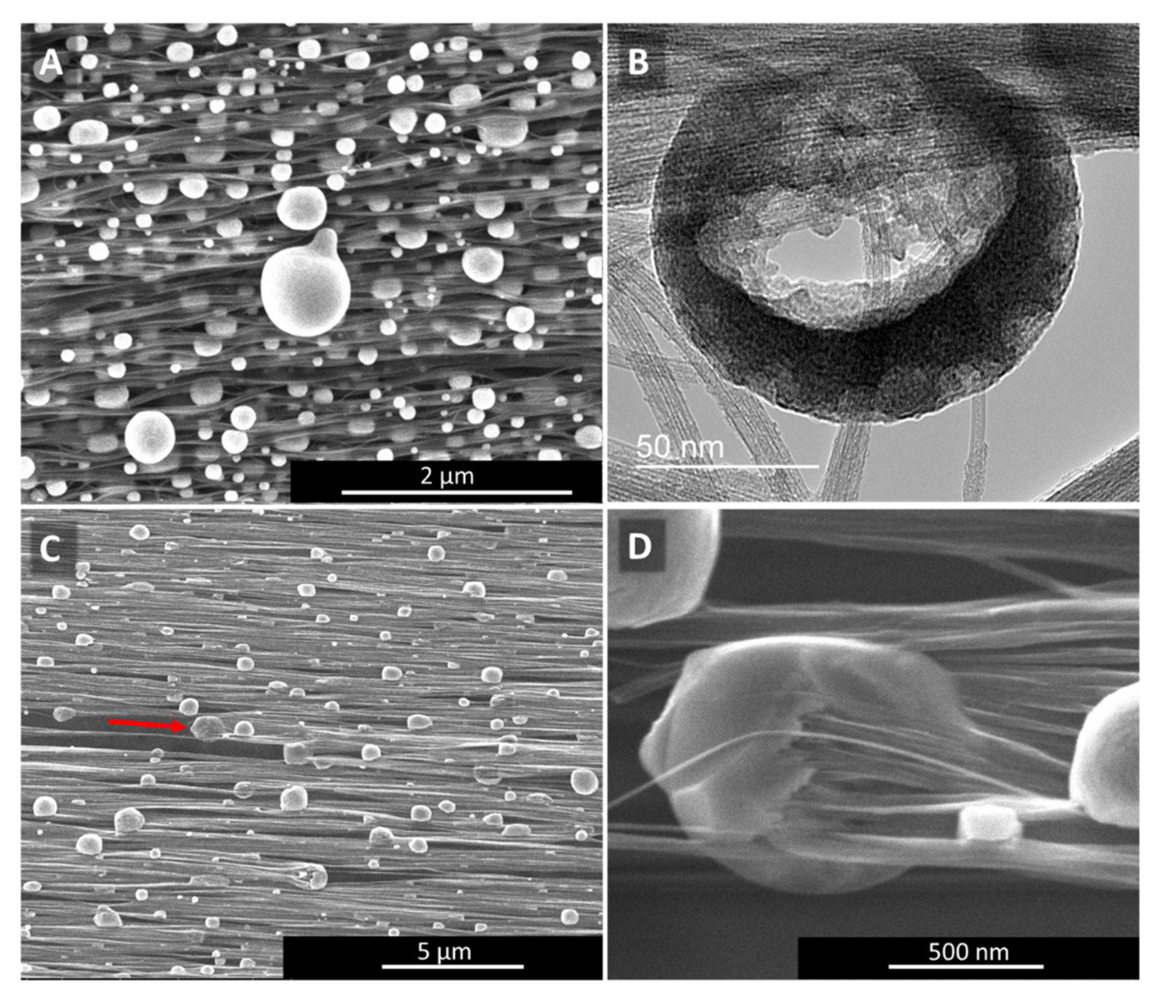 Catalysts 11 00368 g004