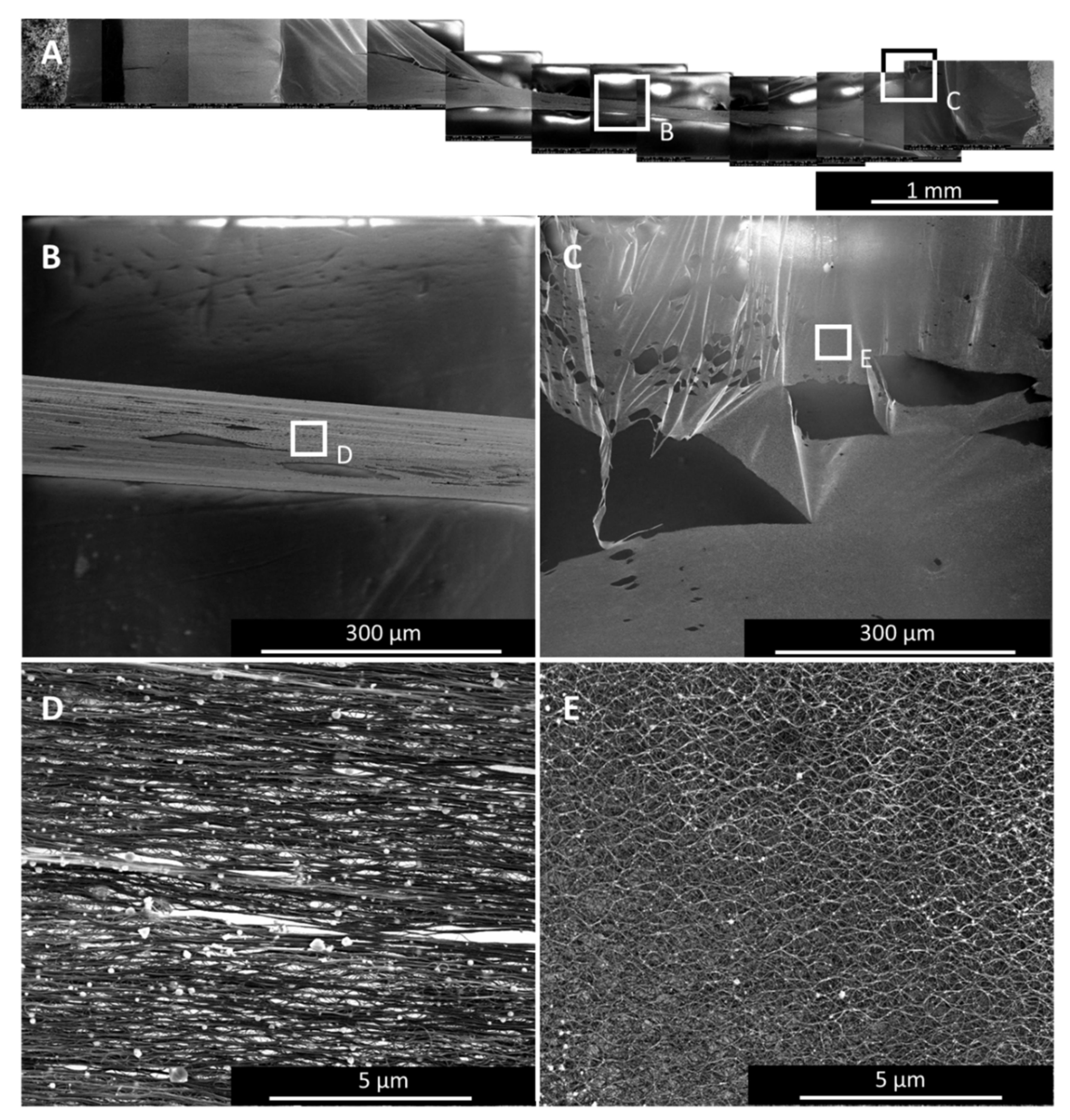 Catalysts 11 00368 g007