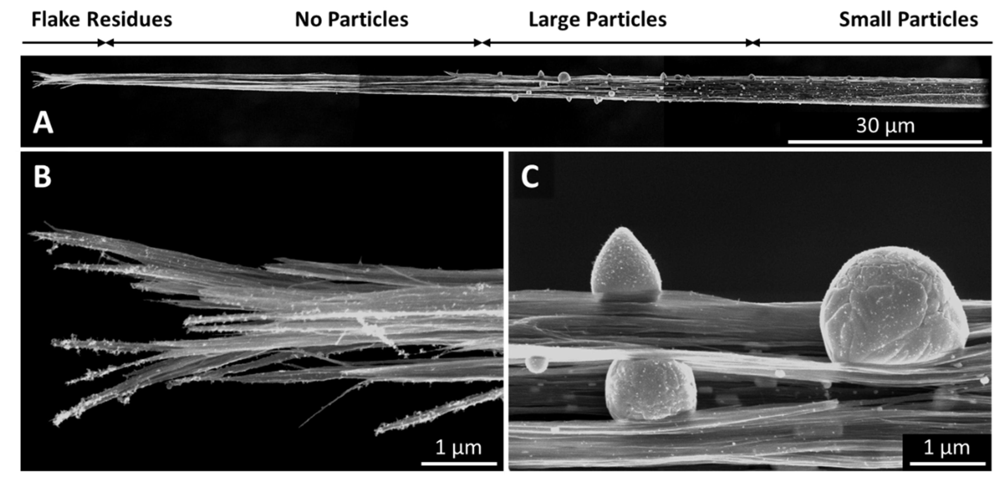 Catalysts 11 00368 g011