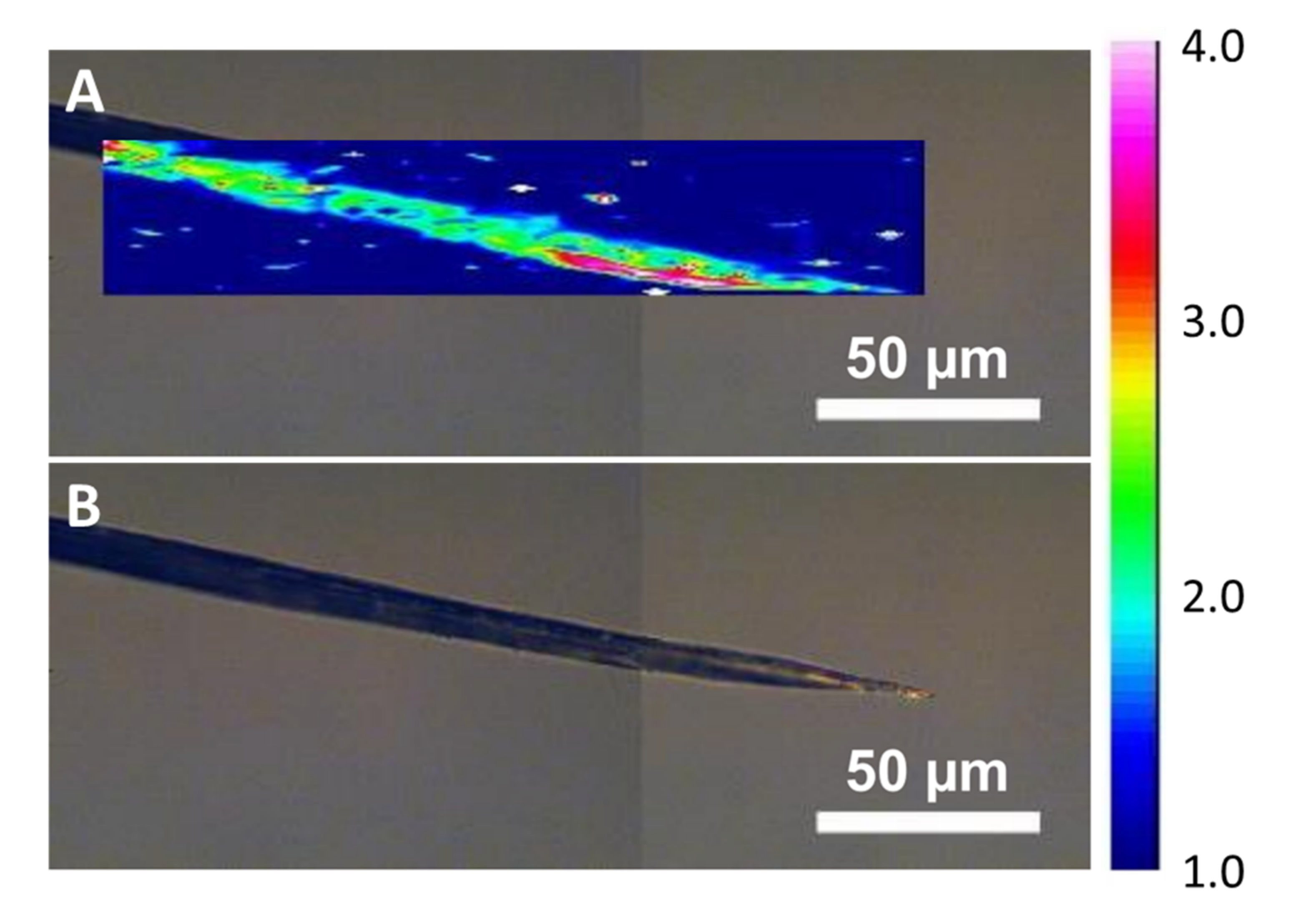 Catalysts 11 00368 g0a11
