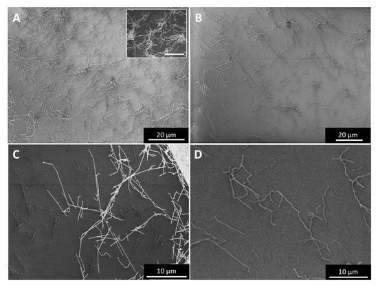 Catalysts 11 00368 g0a5