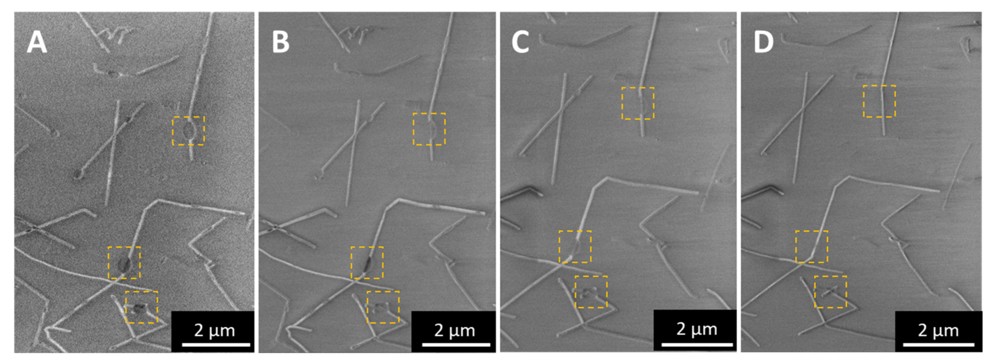 Catalysts 11 00368 g0a6