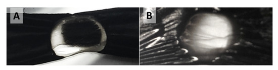 Catalysts 11 00368 g0a9