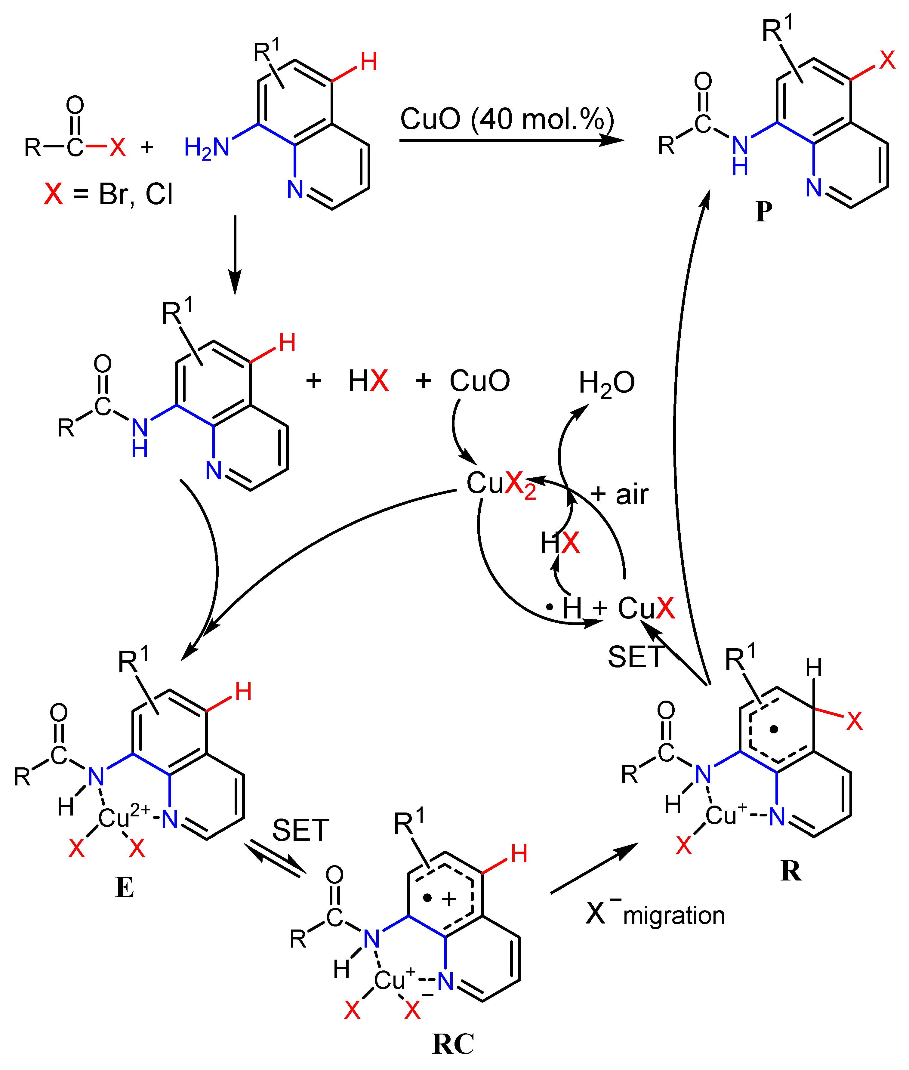 Catalysts 11 00378 sch012