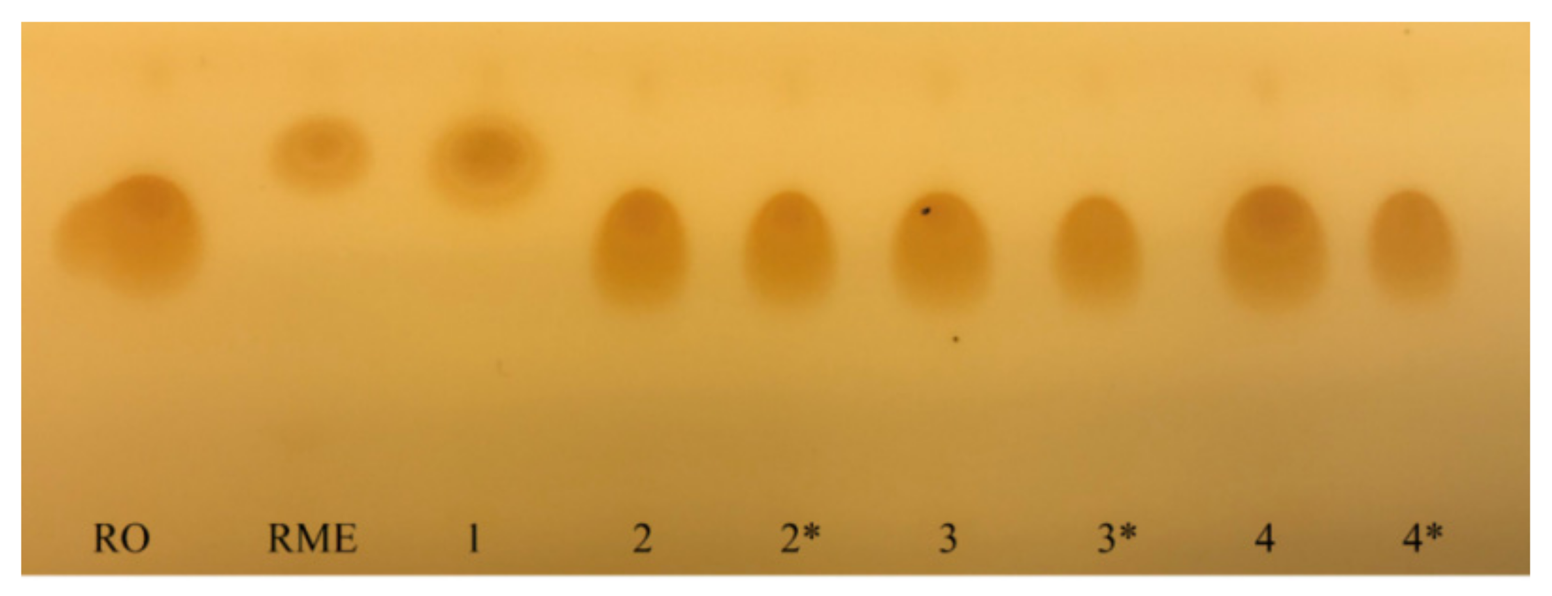 Catalysts 11 00384 g001