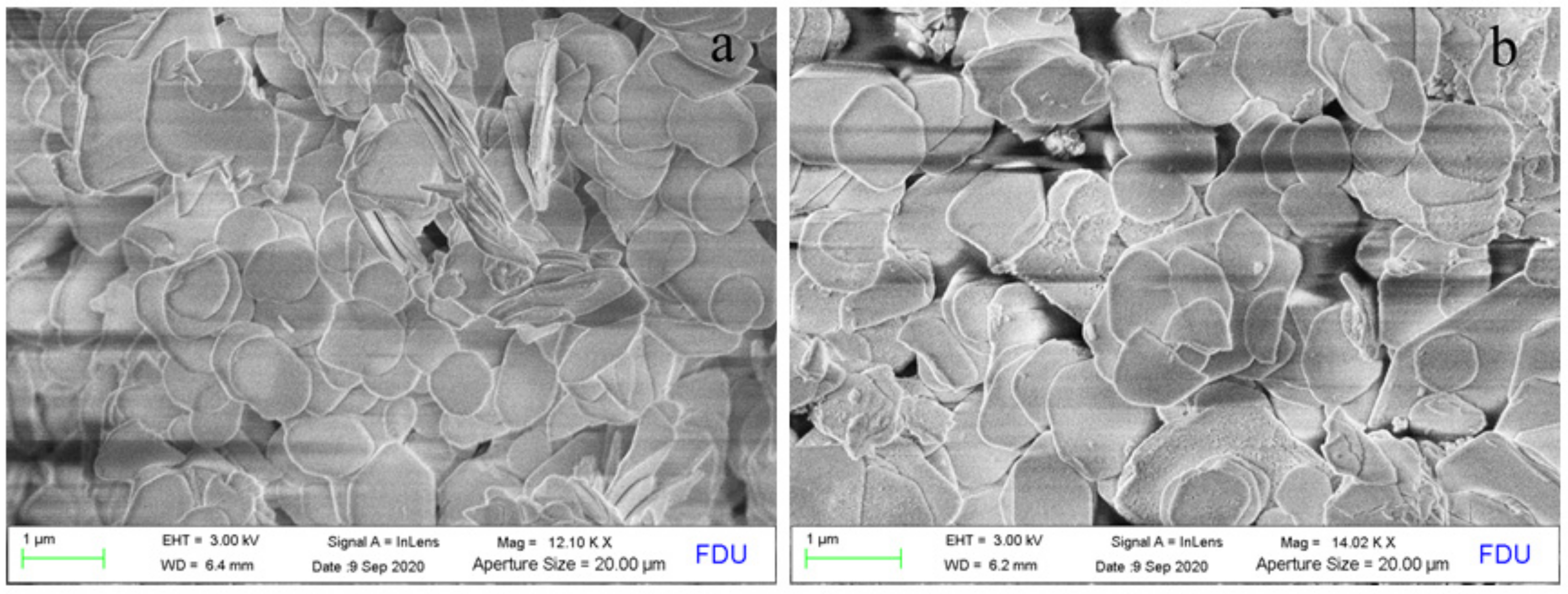 Catalysts 11 00388 g005