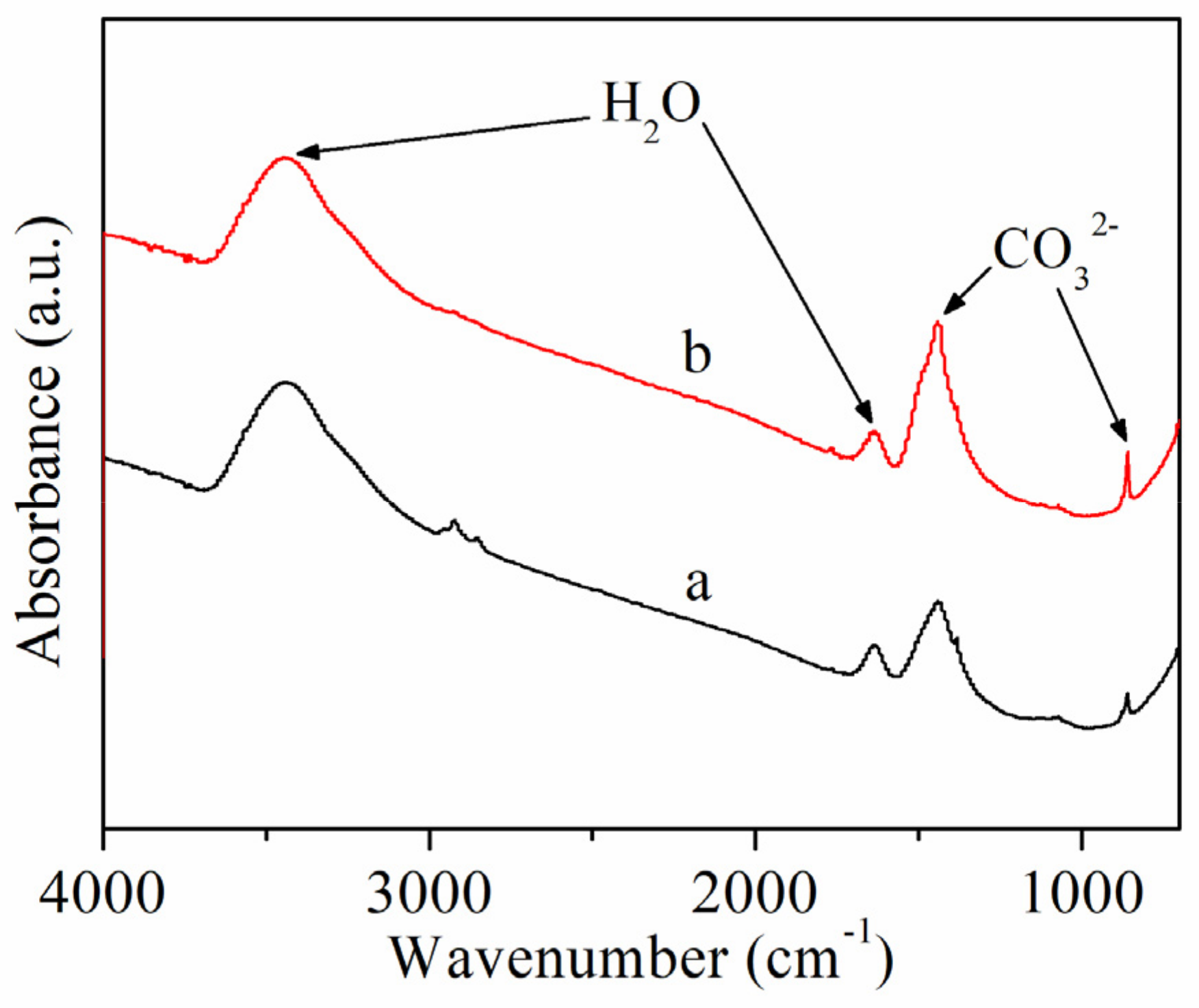 Catalysts 11 00388 g007