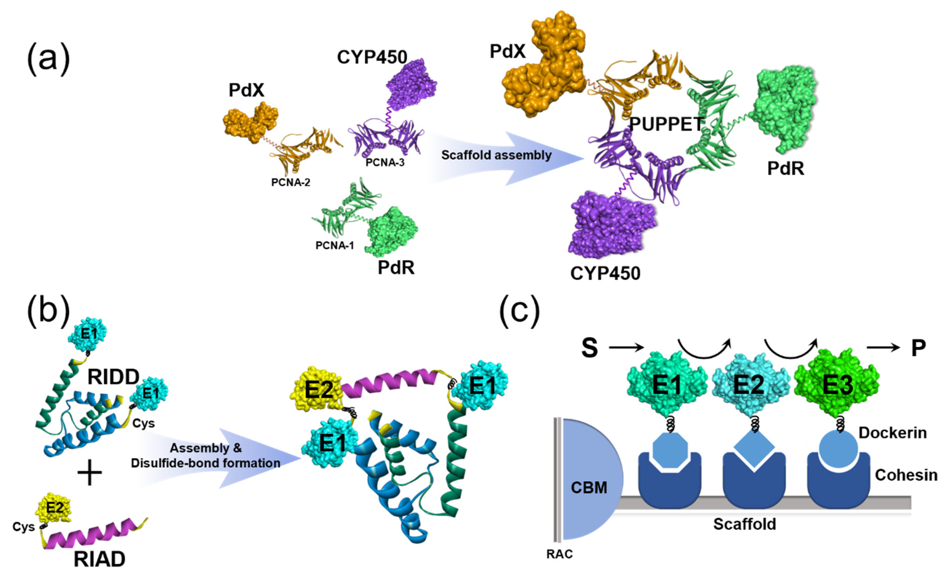 Catalysts 11 00409 g002