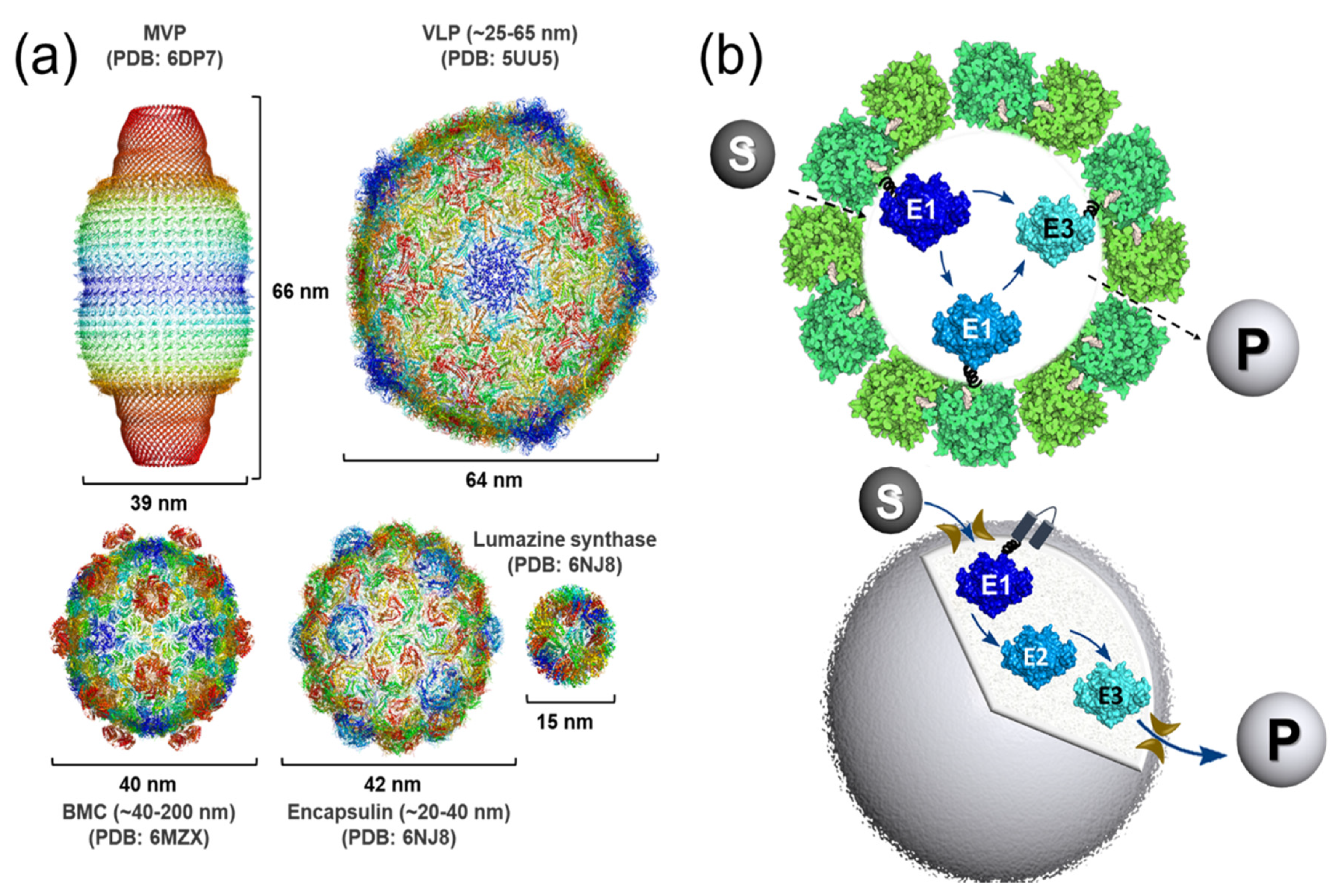 Catalysts 11 00409 g005