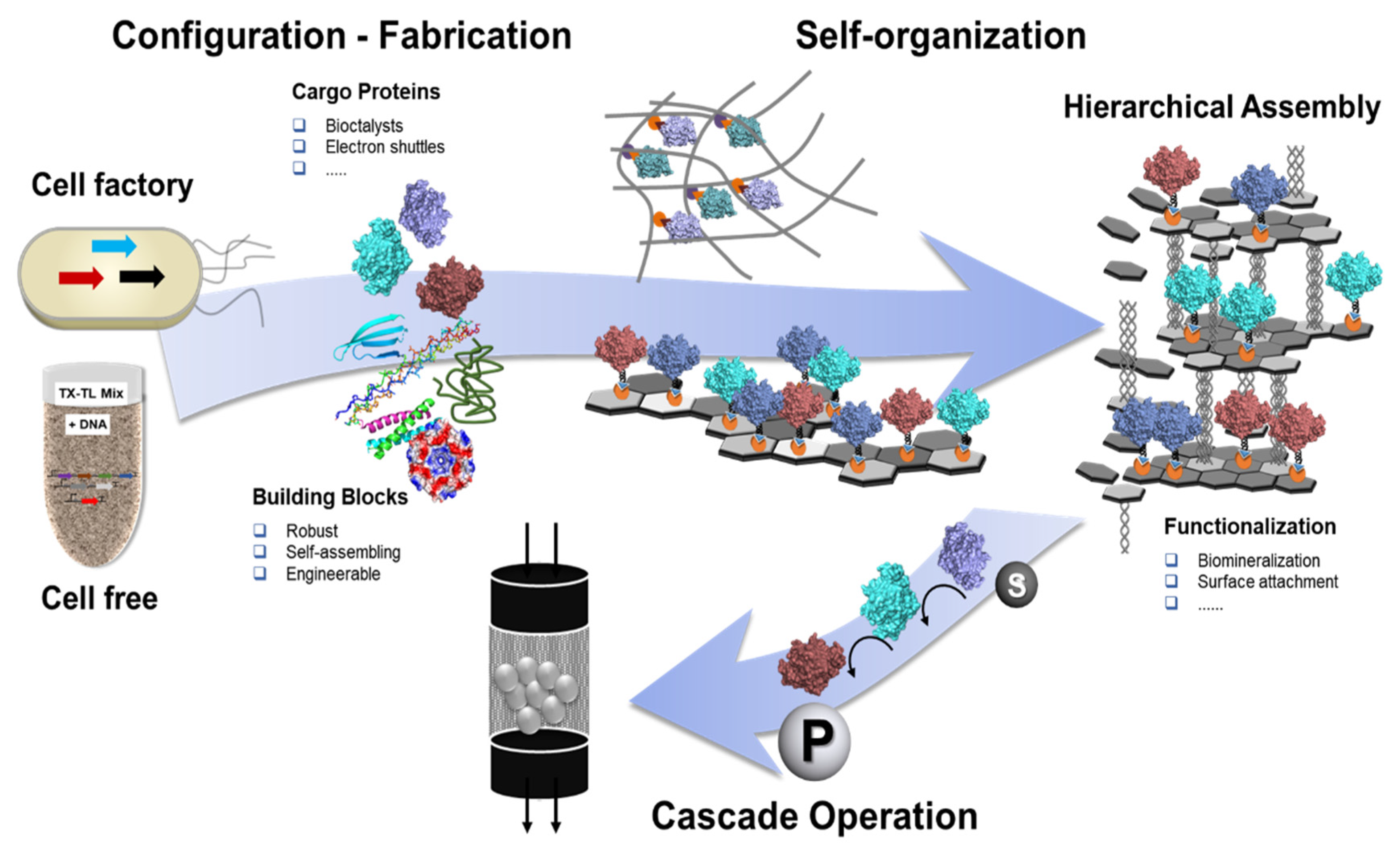 Catalysts 11 00409 g006