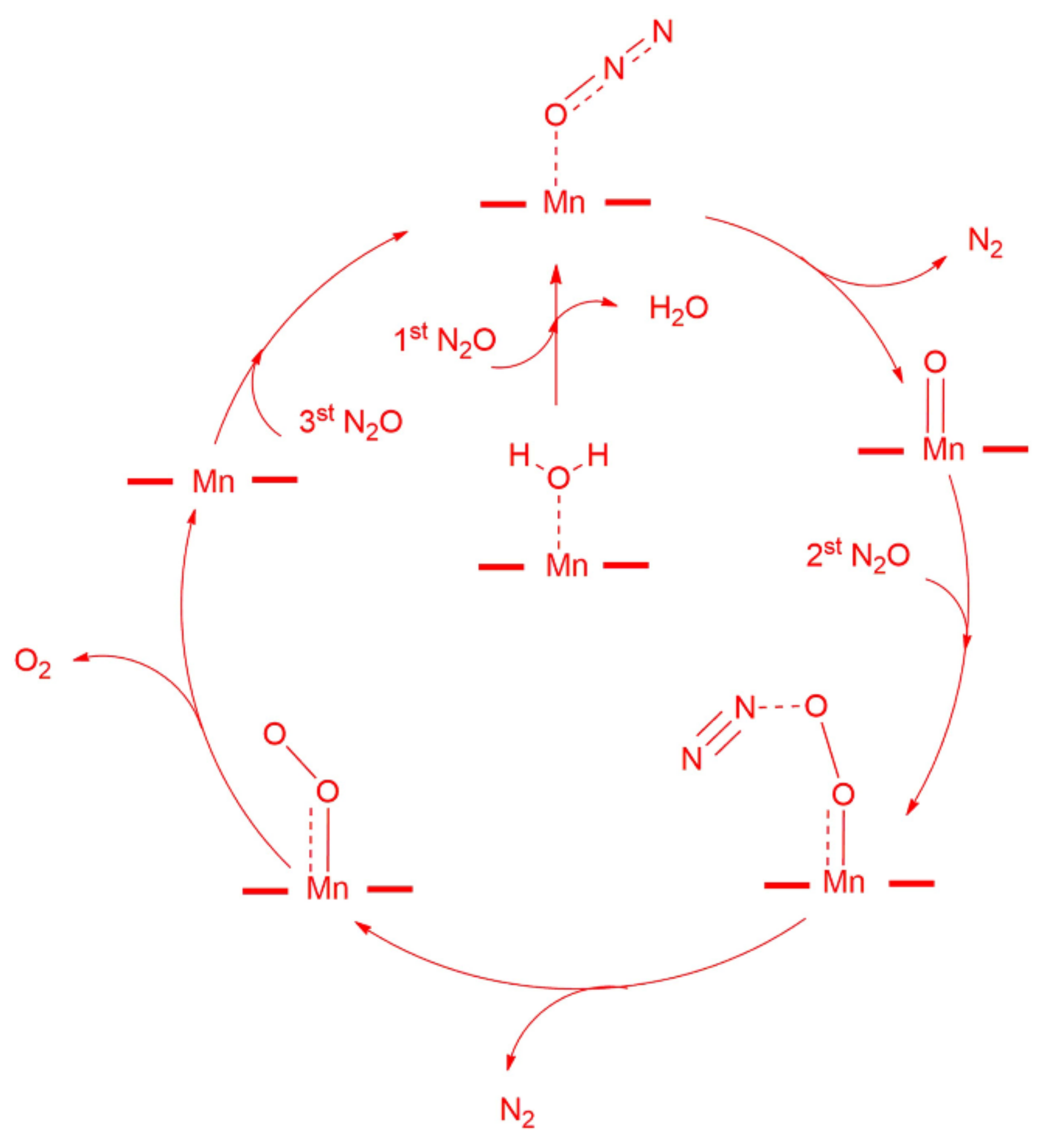 Catalysts 11 00419 g002